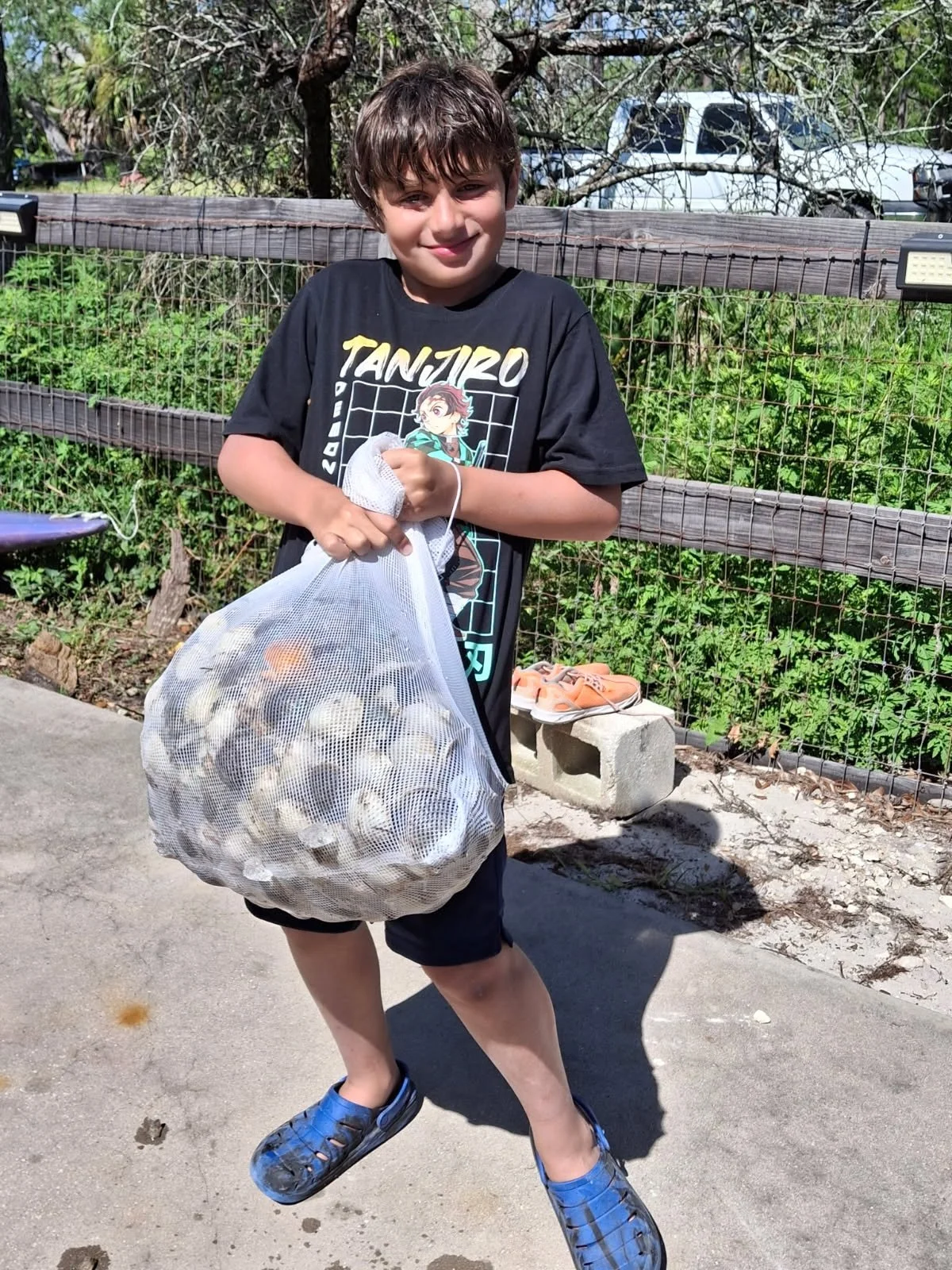 Jace scallop 2025