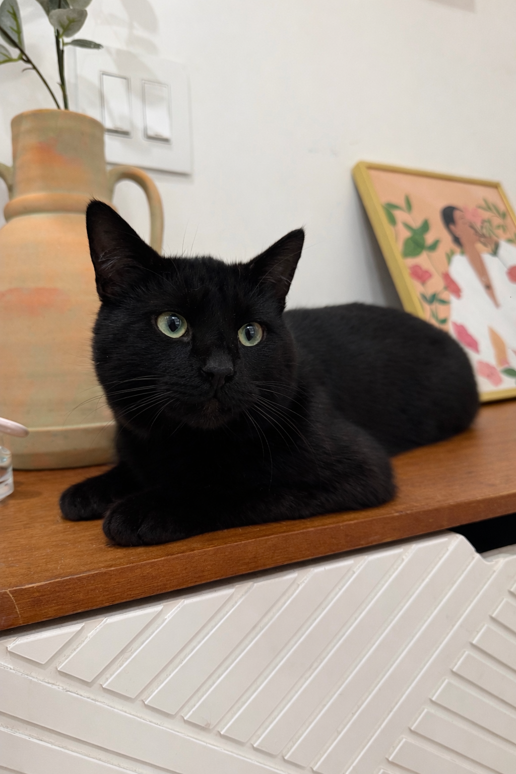 ChatGPT Image Feb 2, 2026, 02_46_55 PM.png