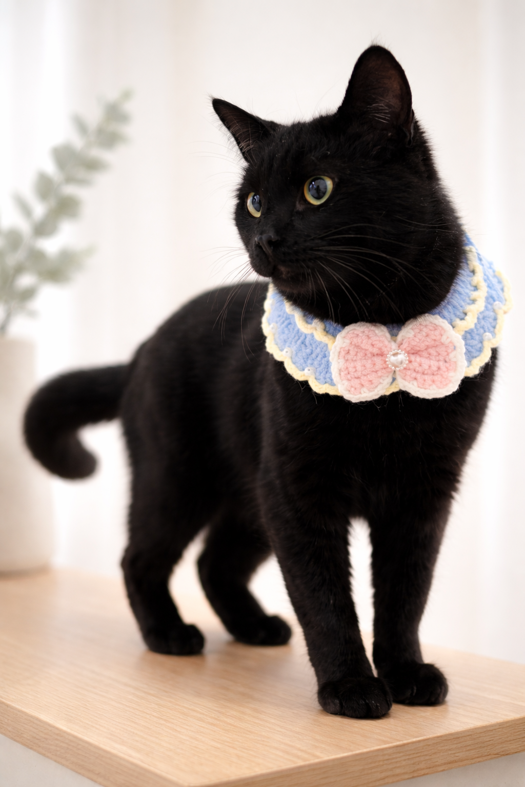 ChatGPT Image Feb 2, 2026, 02_42_12 PM.png