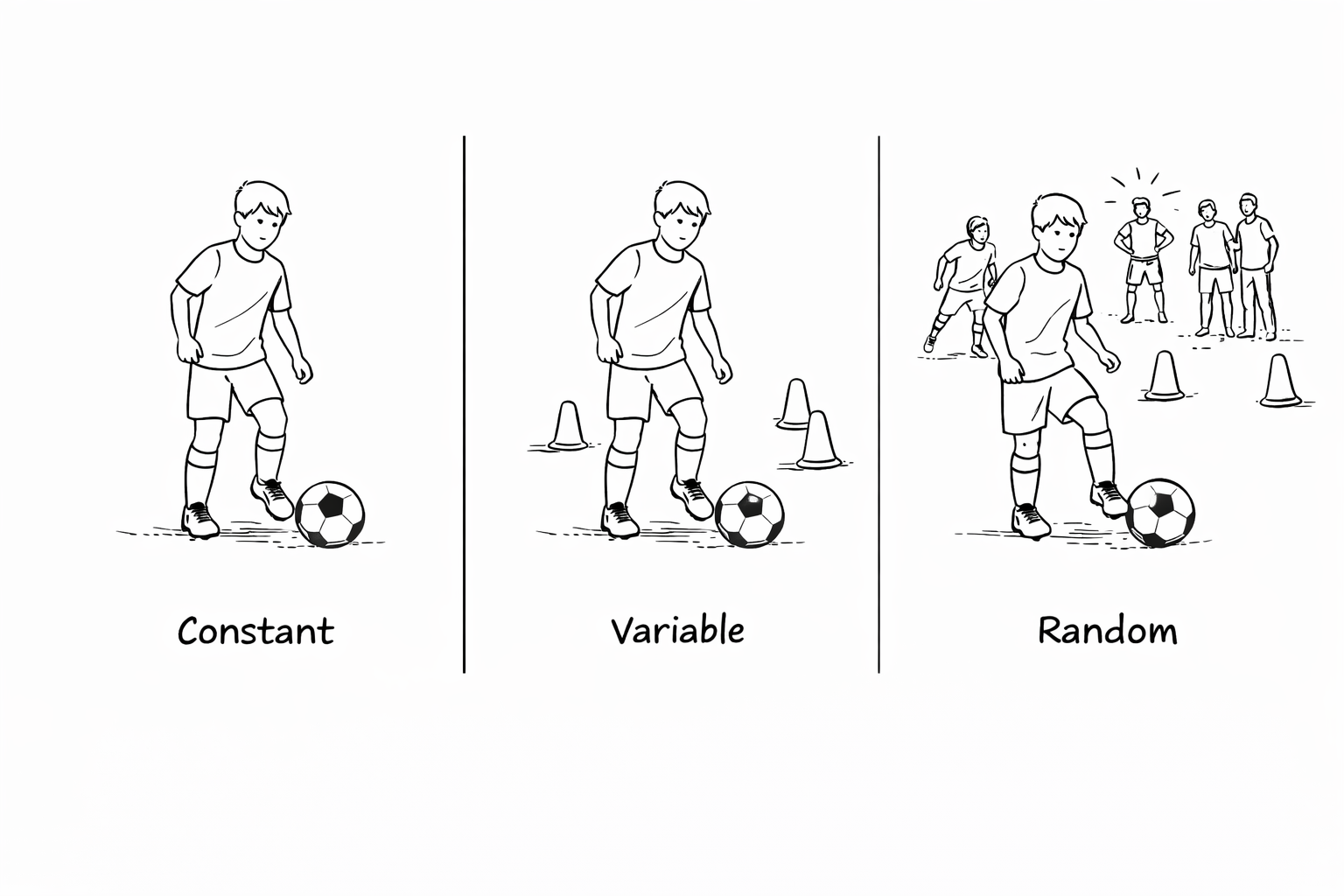 Constant, Variable, Random