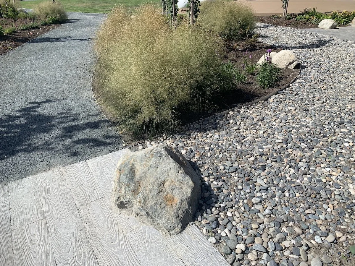 Garden pathway with large rock, gravel, and plants