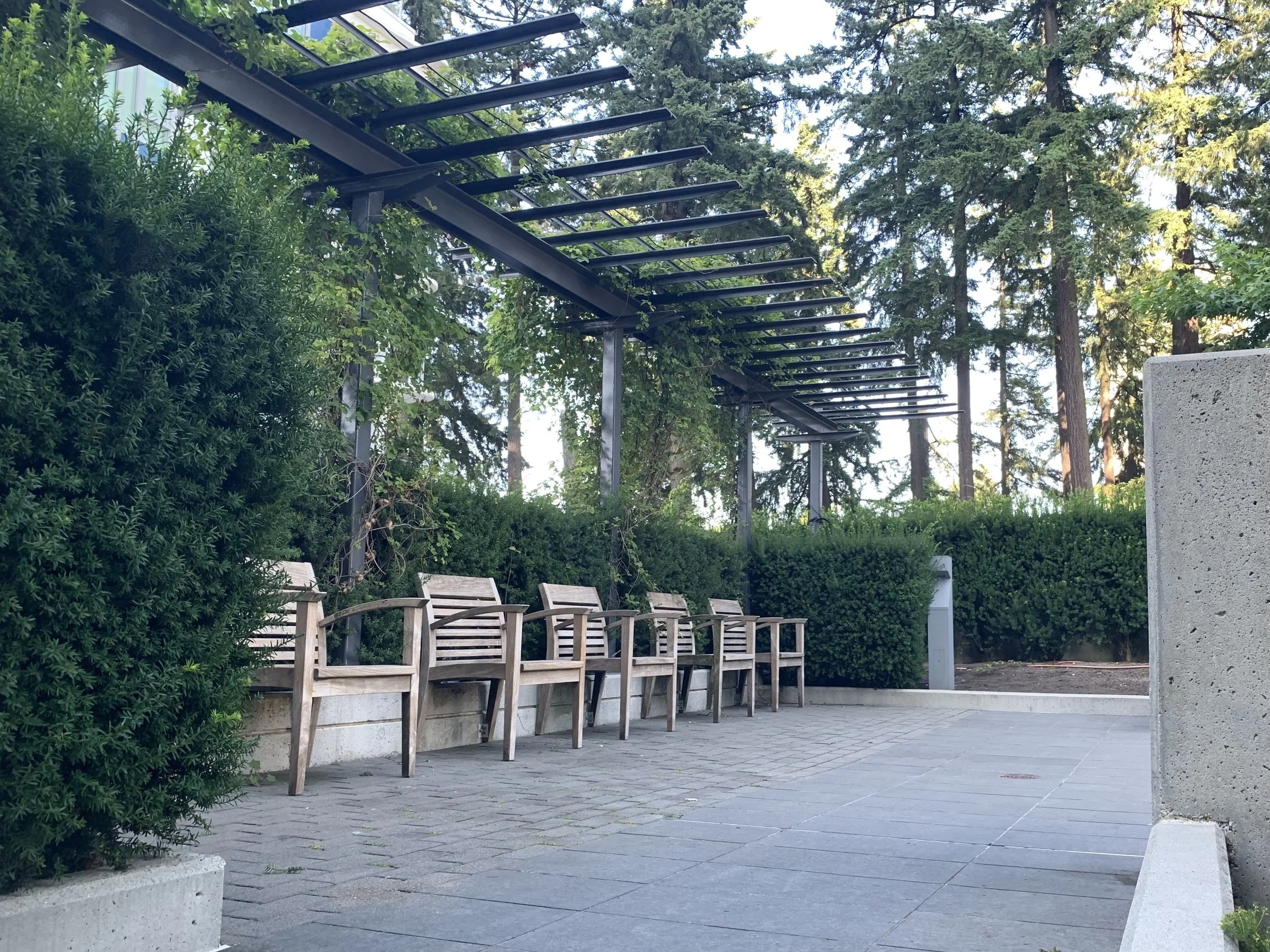 Empty outdoor seating area with wooden benches, grey concrete planters, surrounded by green bushes and tall trees, with a metal structure overhead.