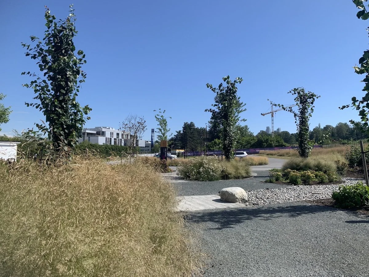 A landscaped outdoor area with trees and bushes, a gravel pathway, and a parking lot with cars. In the background, there is a modern building, a construction crane, and a clear blue sky.