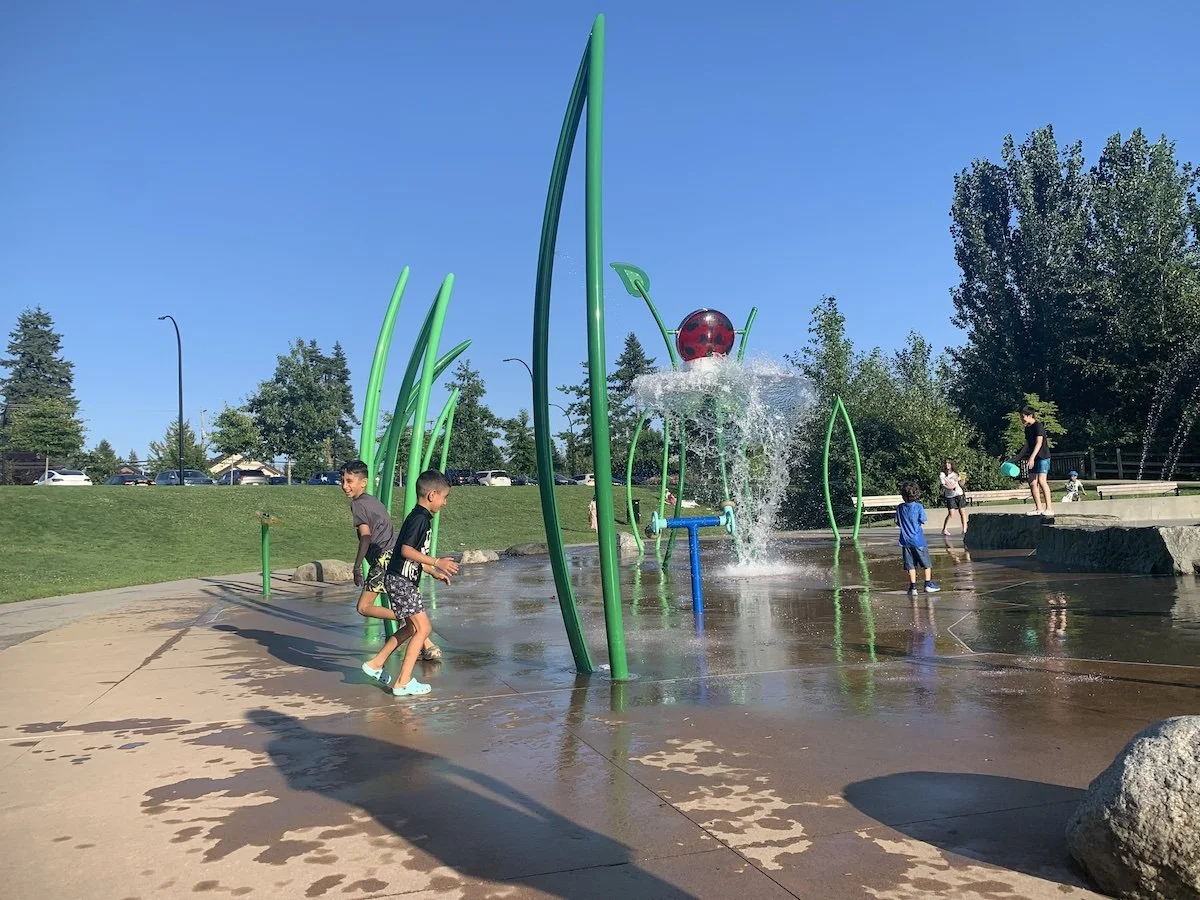 Children playing in a splash pad with water spraying from fountains shaped like tall green grasses and a ladybug on a ladybug-shaped fountain, on a sunny day with trees and parked cars in the background.