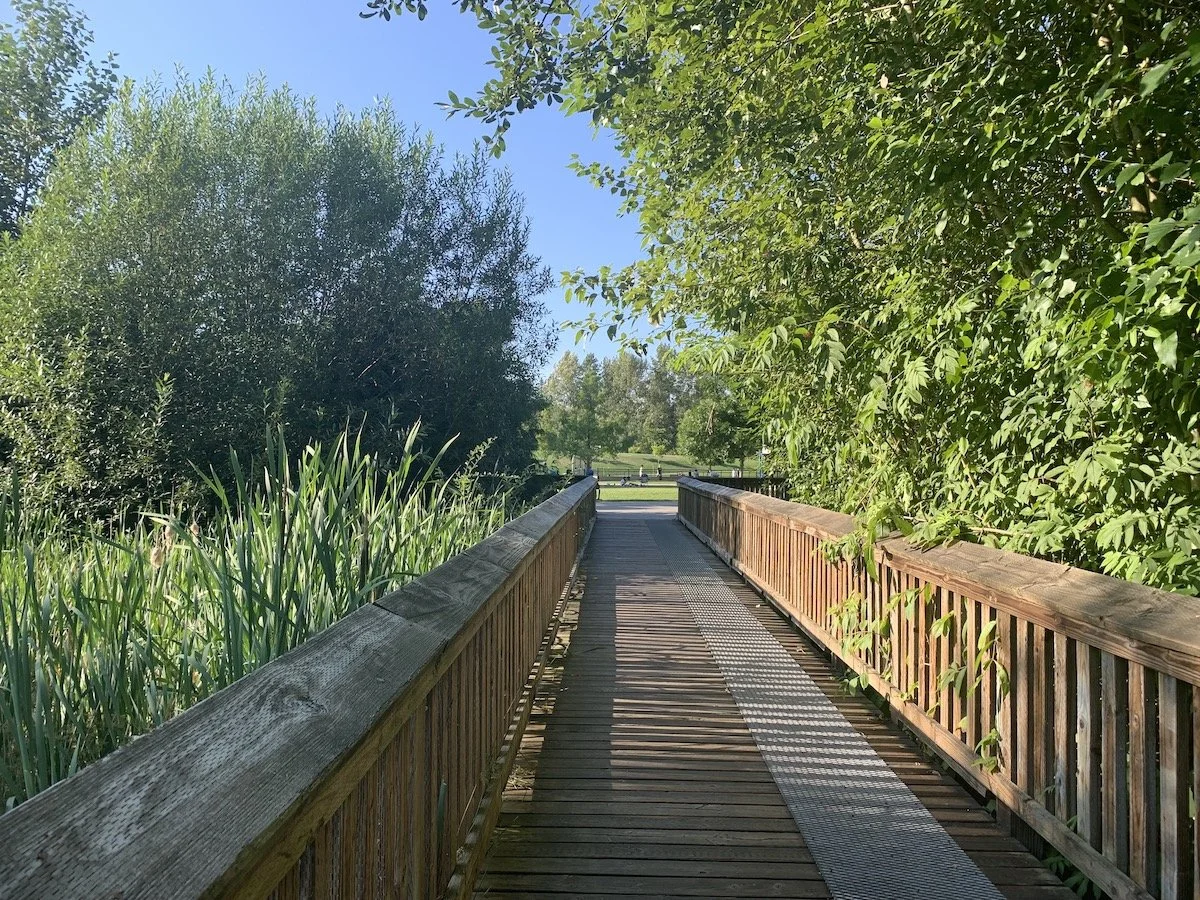 Wooden walkway bridge leading through green trees and bushes, clear blue sky above.