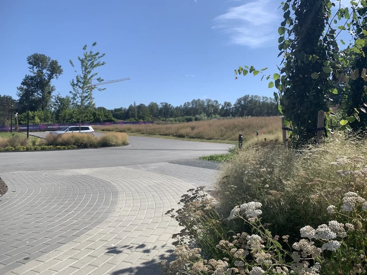 A sunny outdoor scene with a paved sidewalk on the left, an empty parking lot, tall grass, trees, and a construction crane in the background under a clear blue sky.