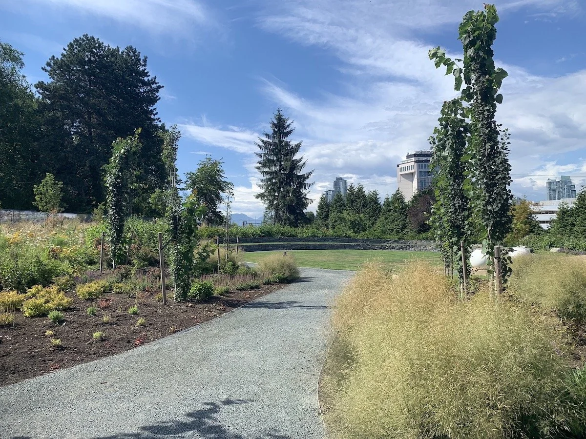 A landscaped park with a gravel walking path, young trees supported by stakes, various shrubs and plants, in front of a backdrop of tall trees and modern buildings under a partly cloudy blue sky.