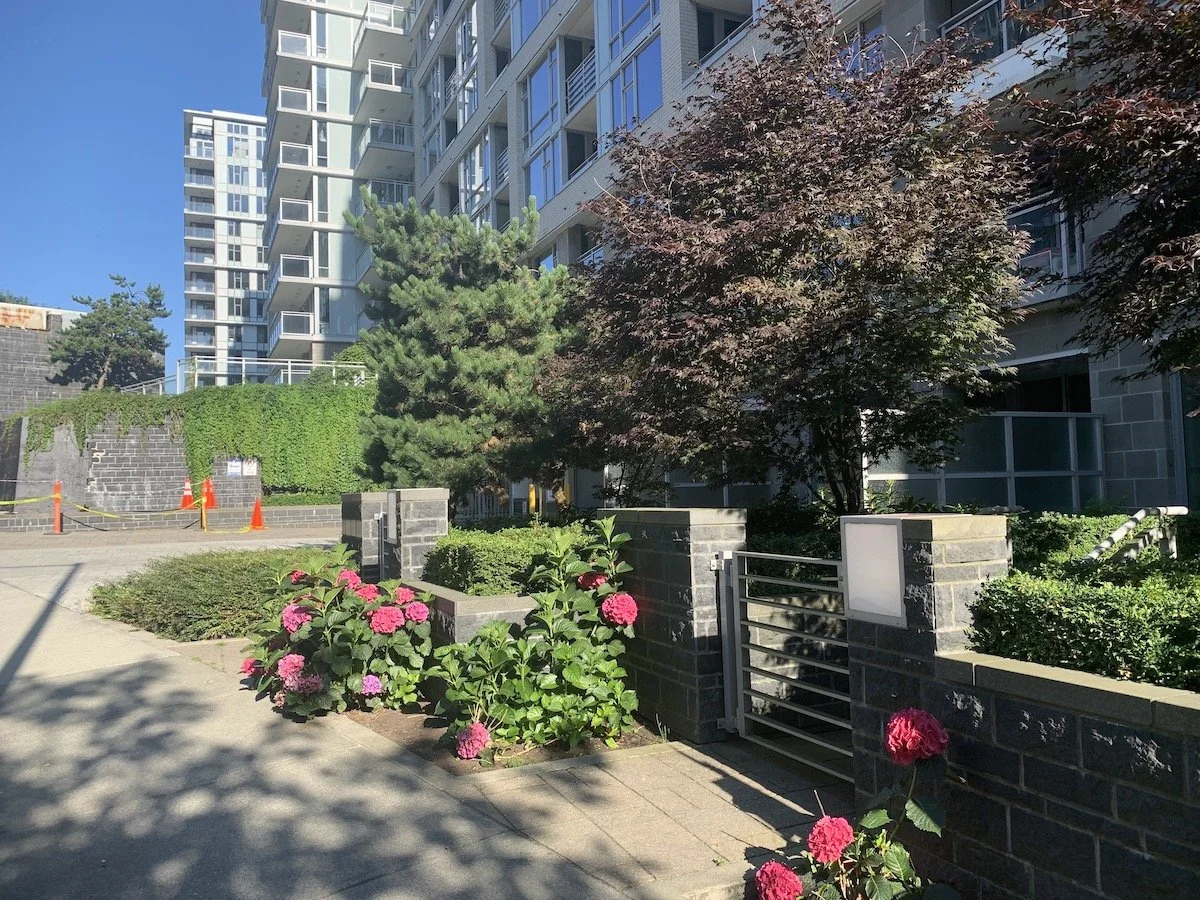 Residential apartment complex with landscaped garden, pink hydrangea flowers, mature trees, and a clear blue sky.