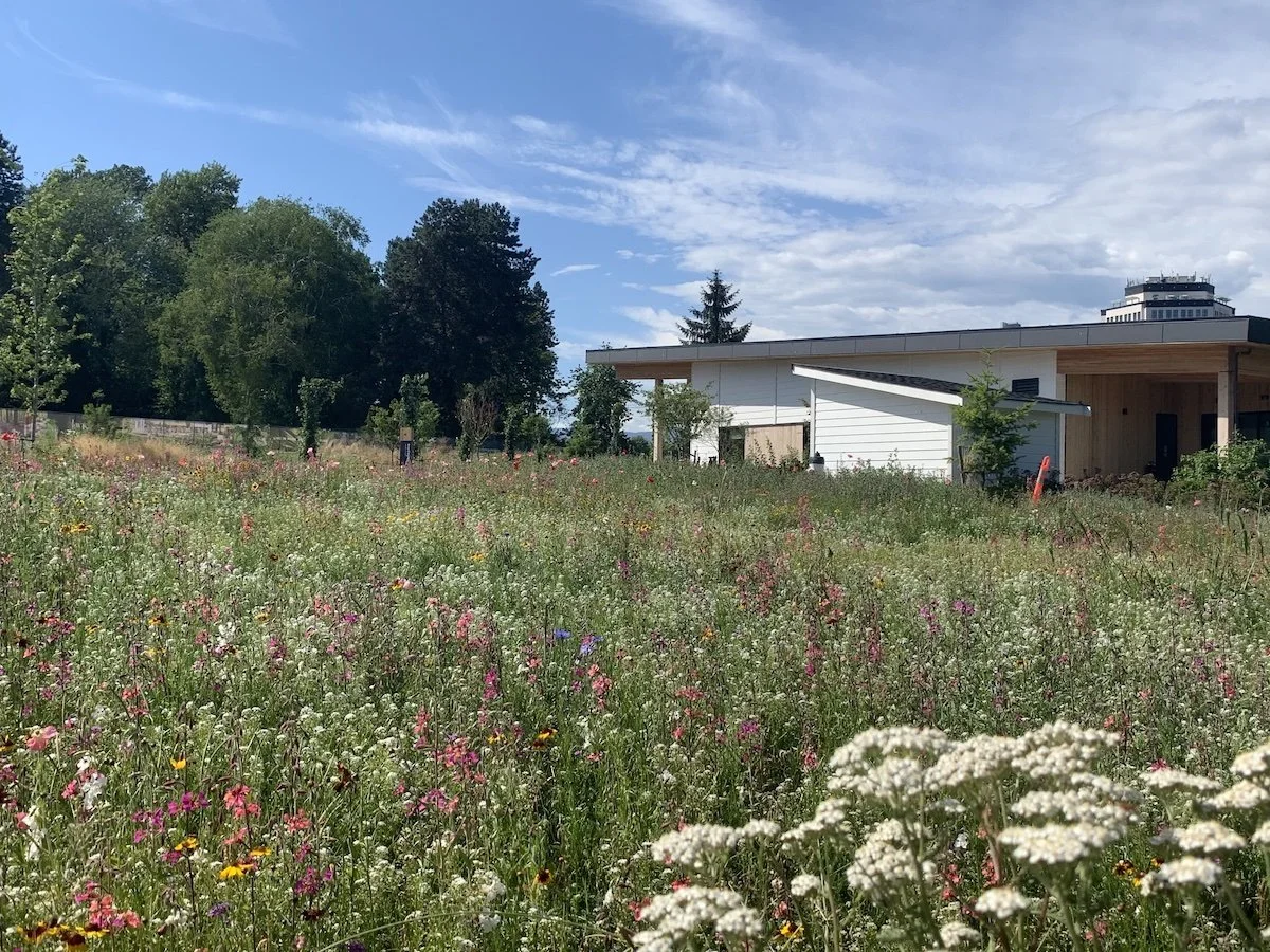 A grassy field filled with wildflowers in front of modern white buildings and green trees under a partly cloudy blue sky.