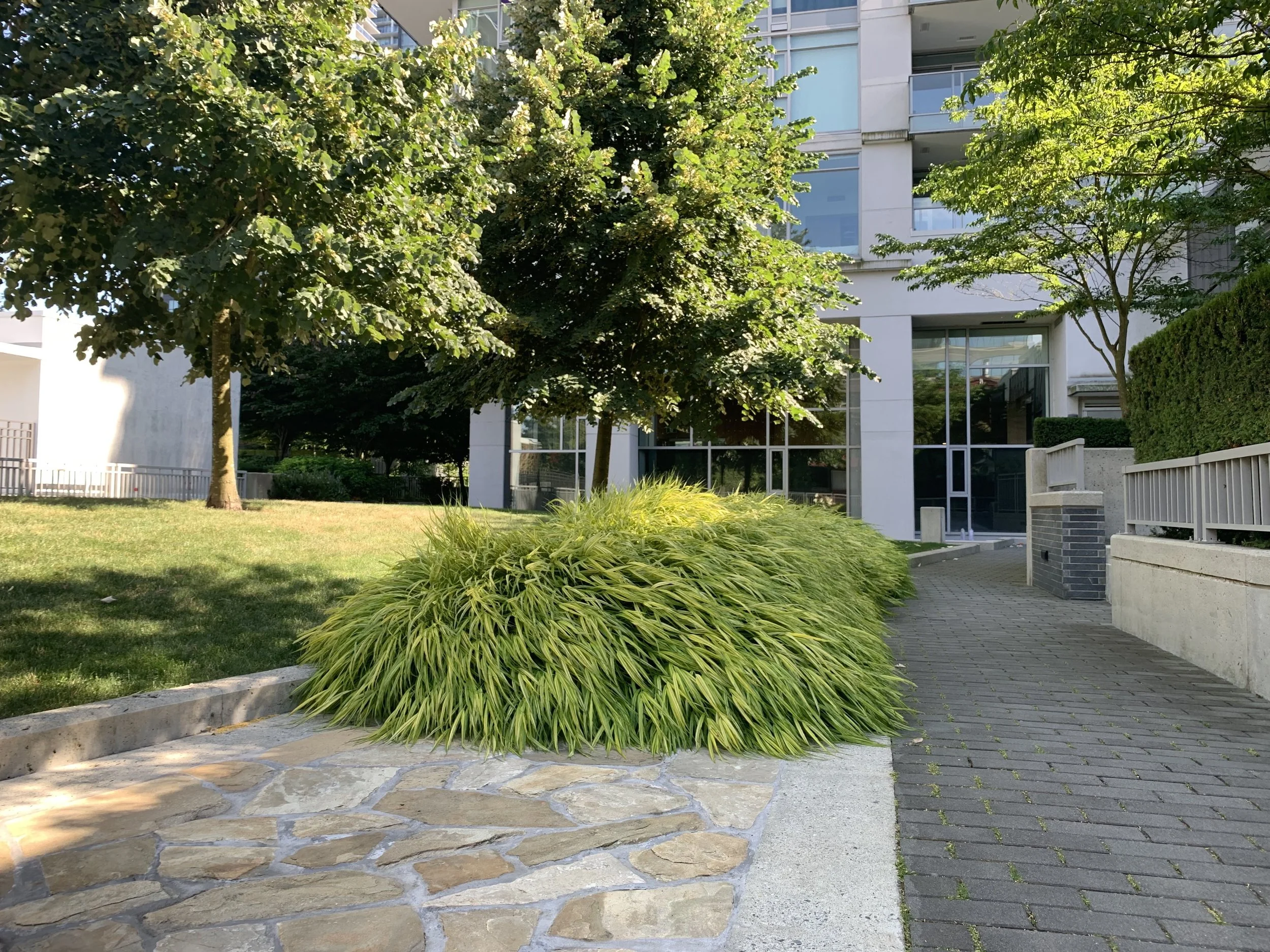 Urban sidewalk with green shrubbery, trees, and modern building in the background