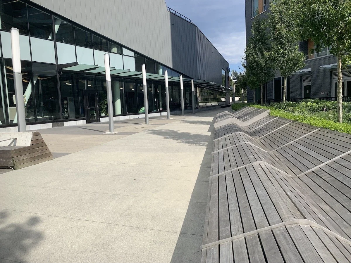 Empty urban plaza with modern architecture, wooden benches, and small trees