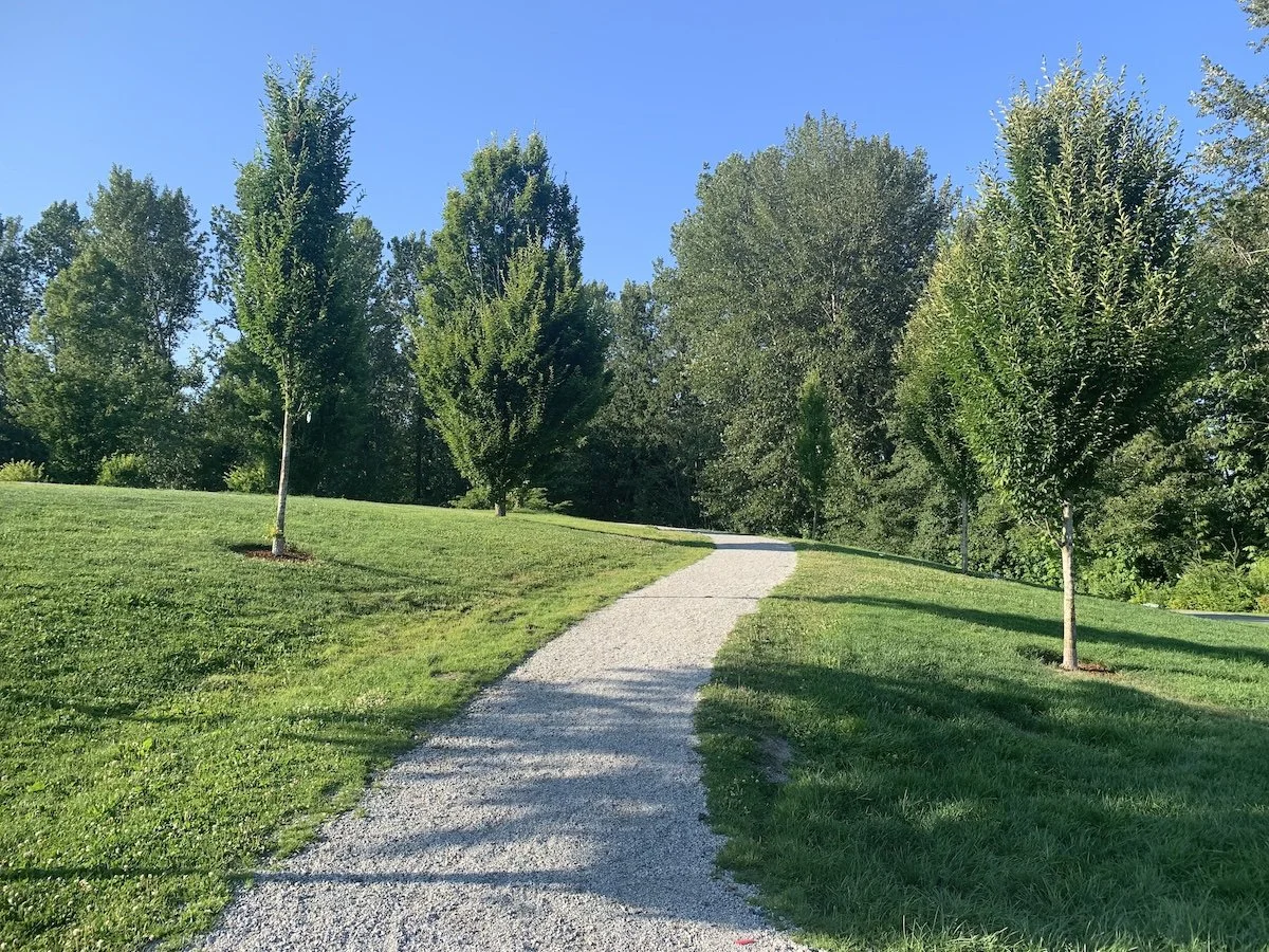 A gravel path winding through a grassy park with young trees and taller trees in the background, under a clear blue sky.