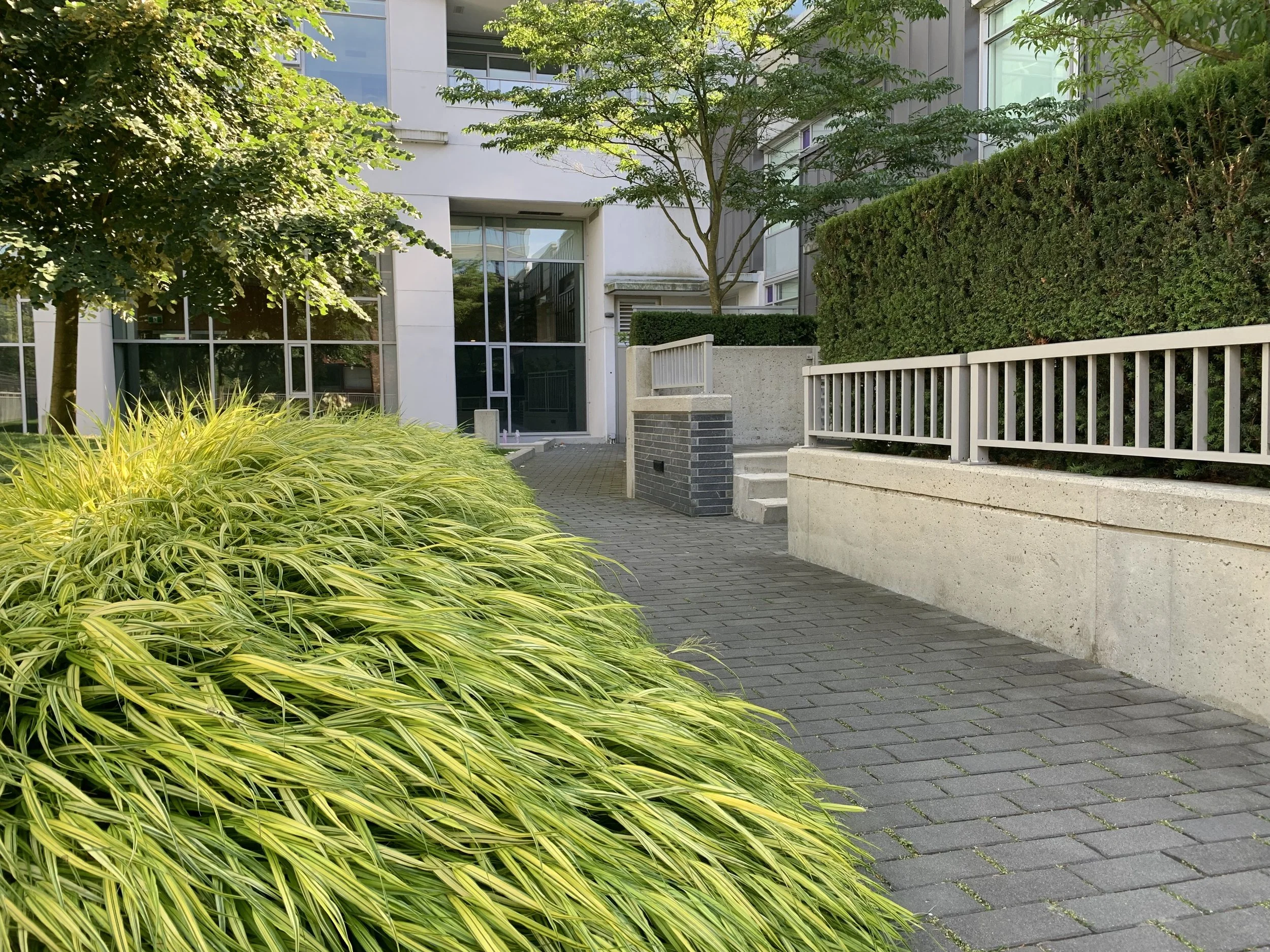 Urban outdoor walkway with green bushes, trees, and a modern building with glass windows in the background.