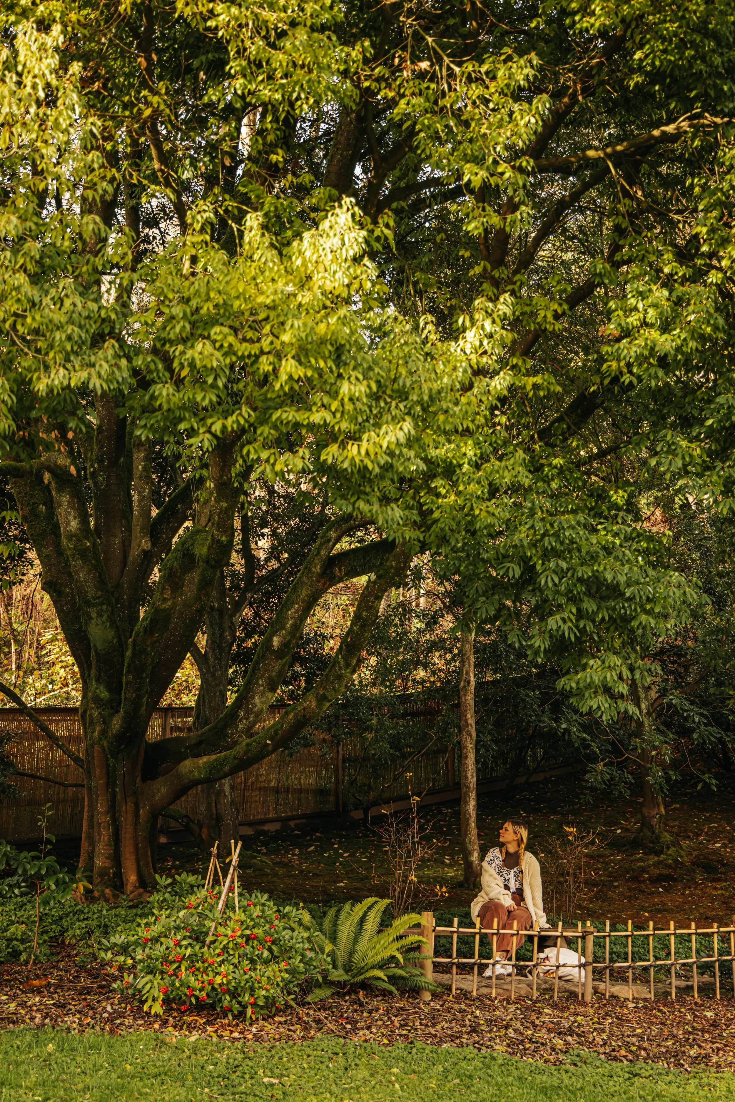 ABBY-JAPANESEGARDENS-044.jpeg