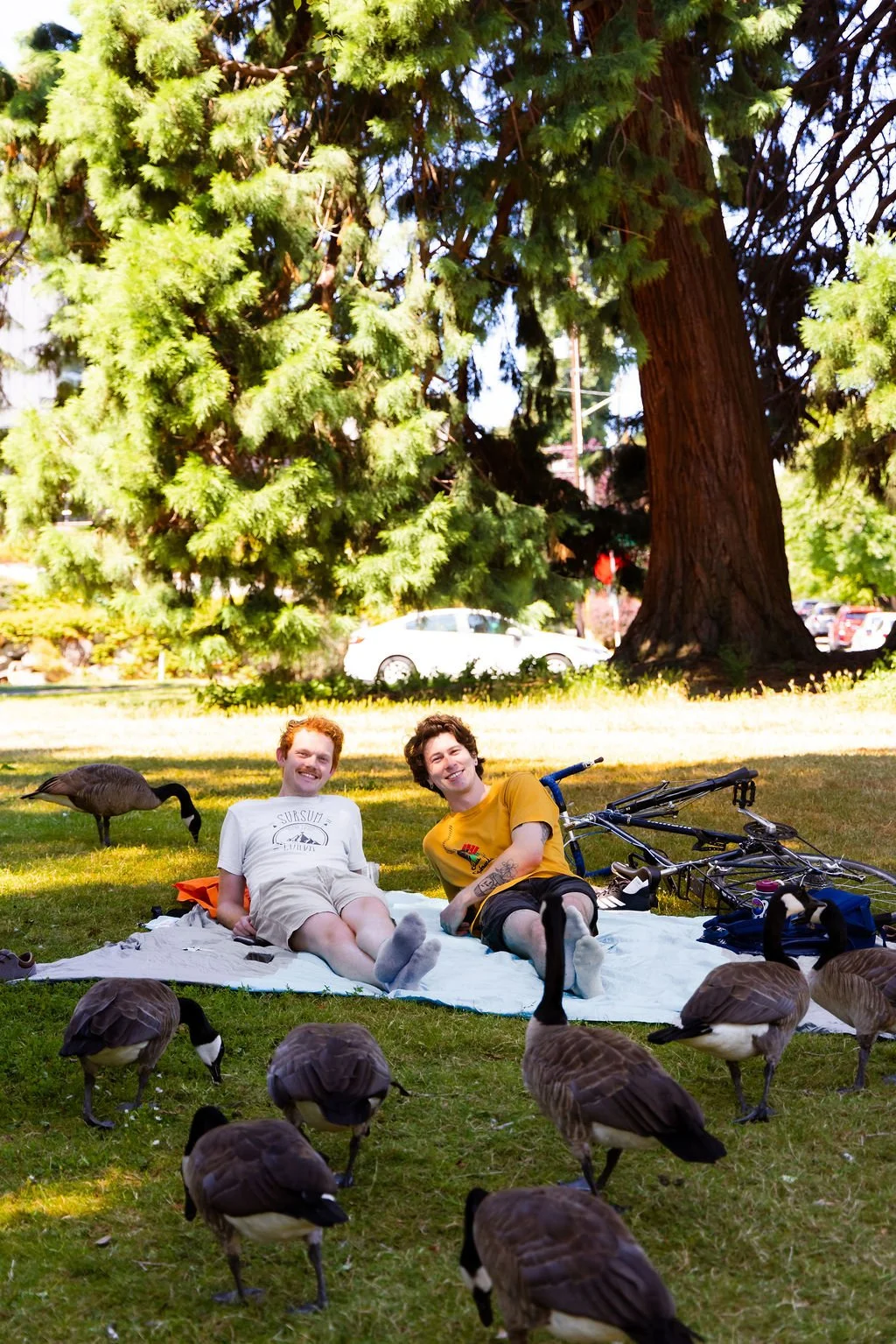 GREENLAKE-5.JPG
