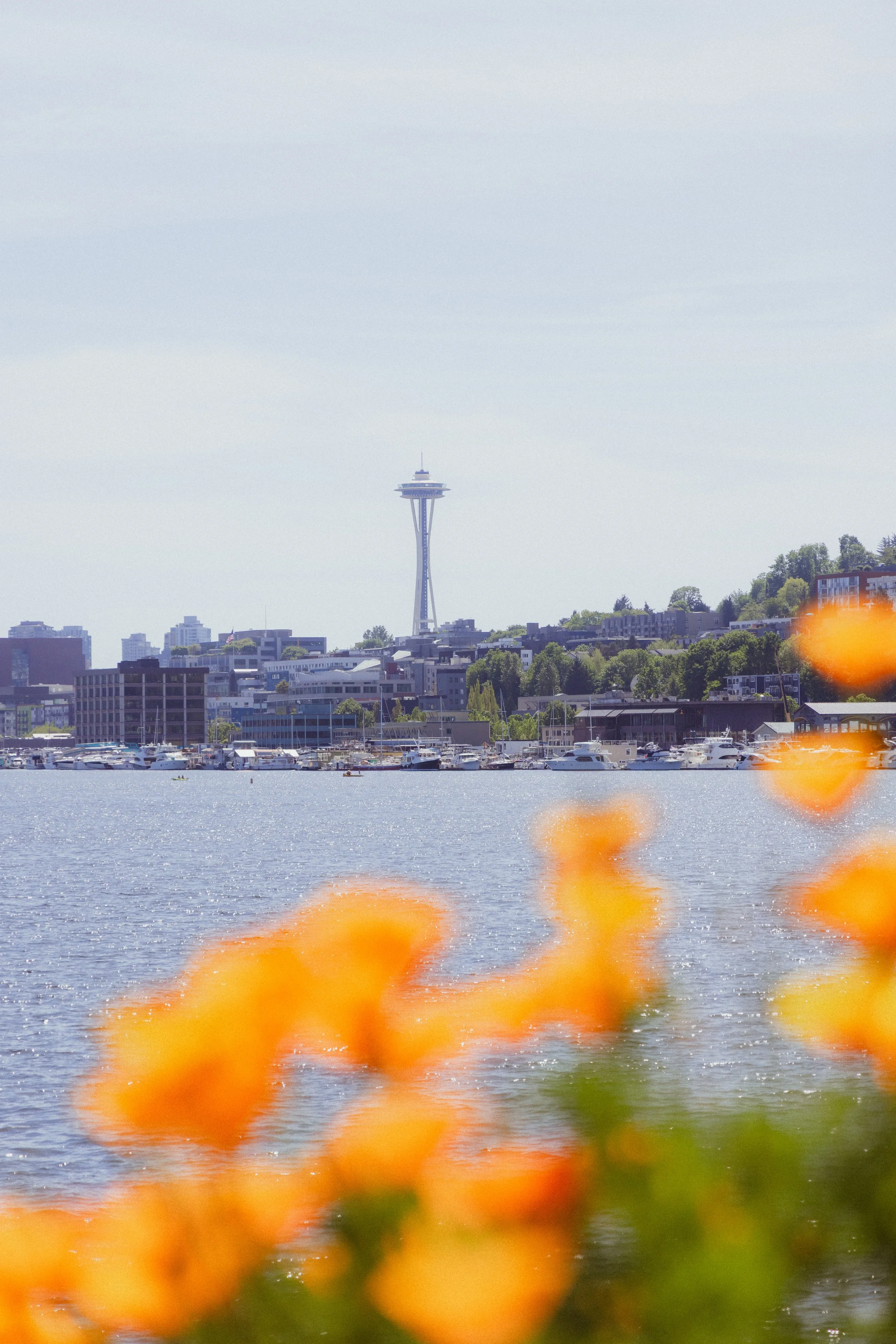 GASWORKSFINALFLOWERS (1 of 7).jpeg