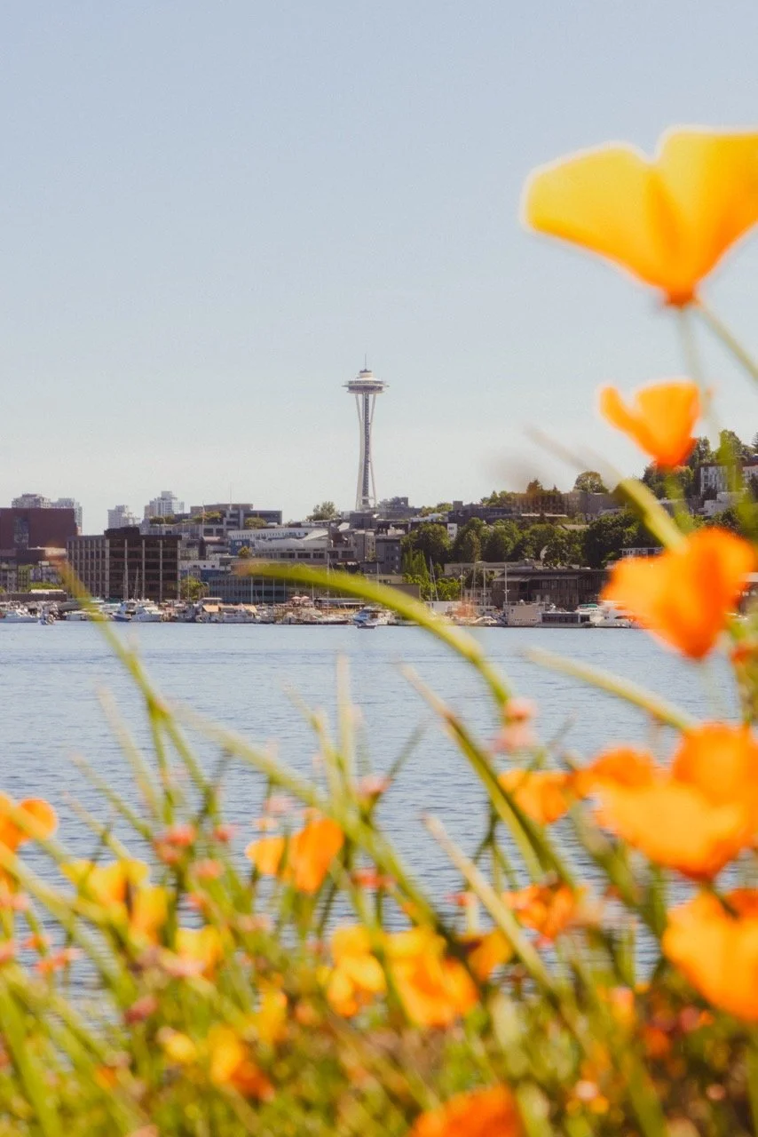 Poppy Flowers with Space Needle - Large Print