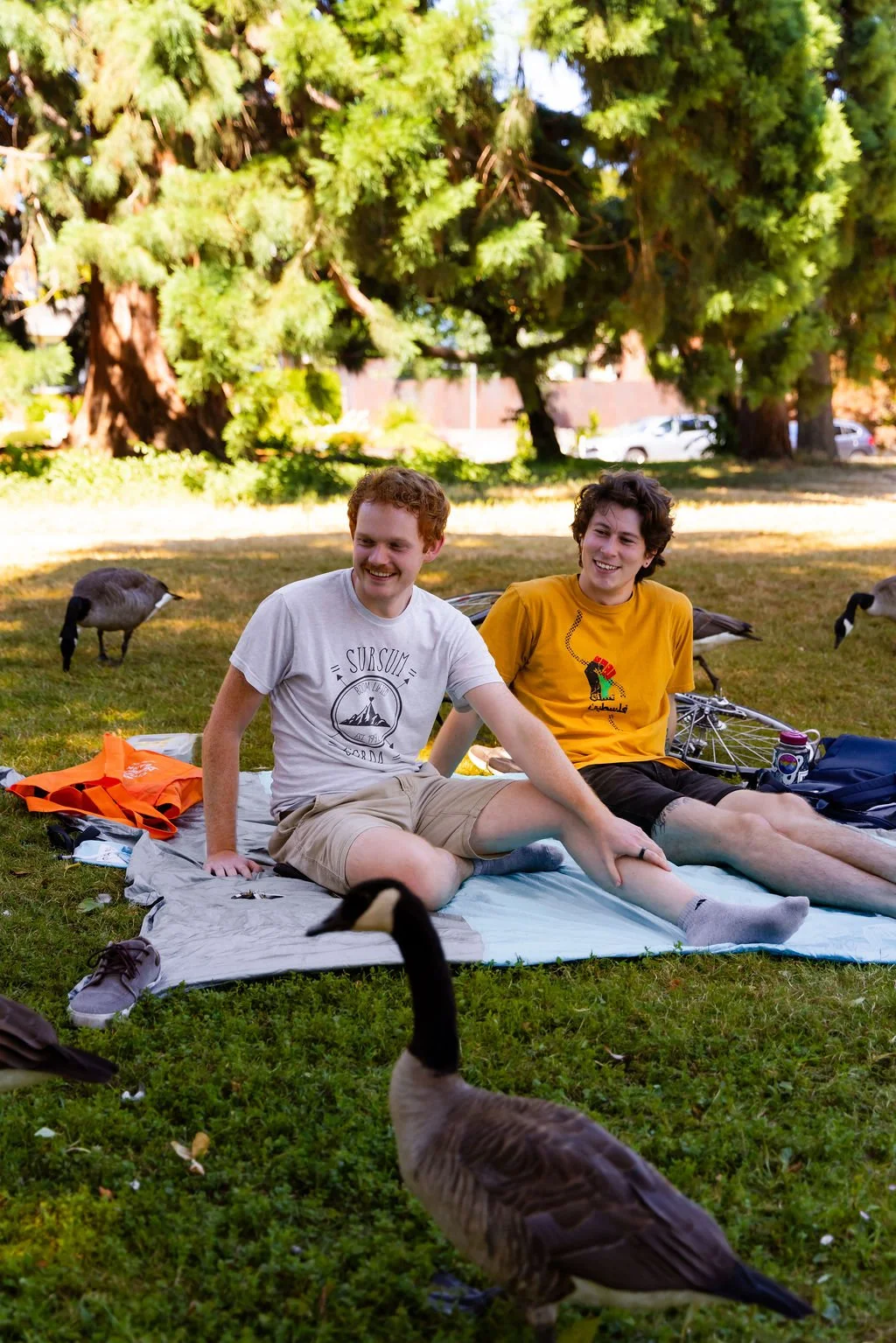 GREENLAKE-7.JPG