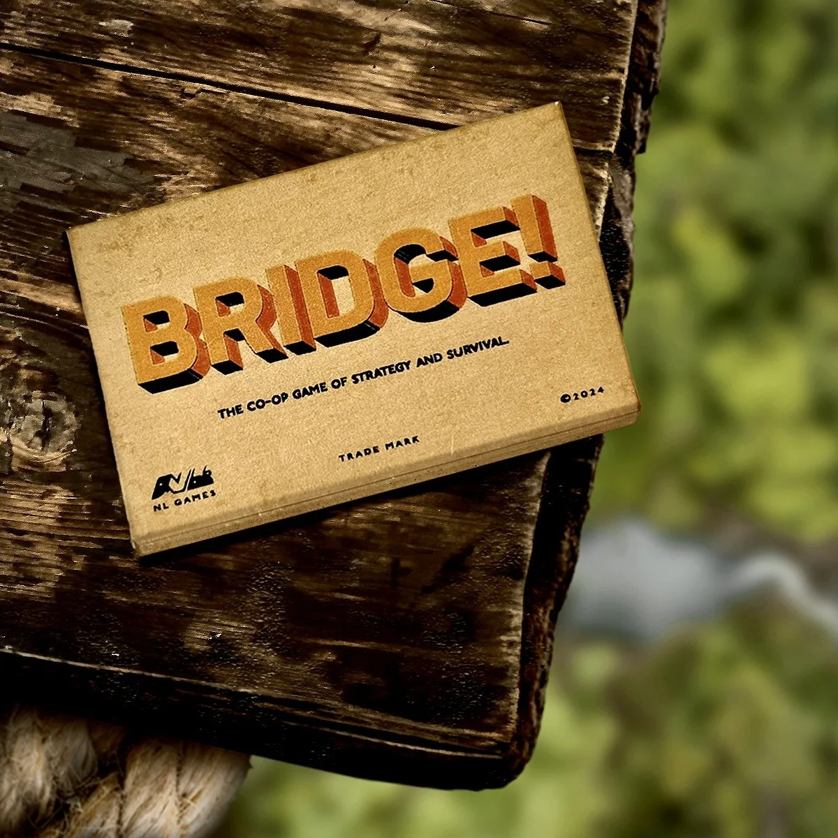 bridge!.jpeg