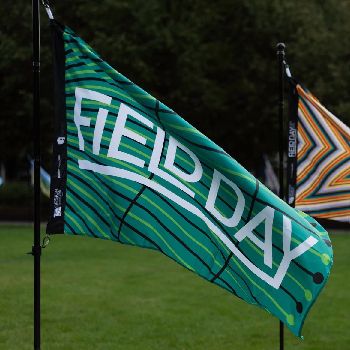 Field Day