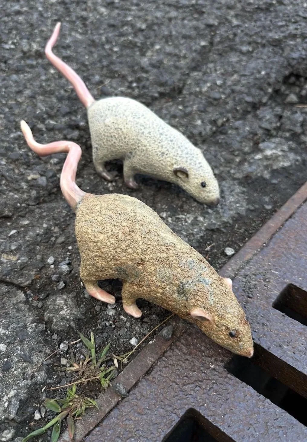 Two ceramic rats photographed next to a sewer drain