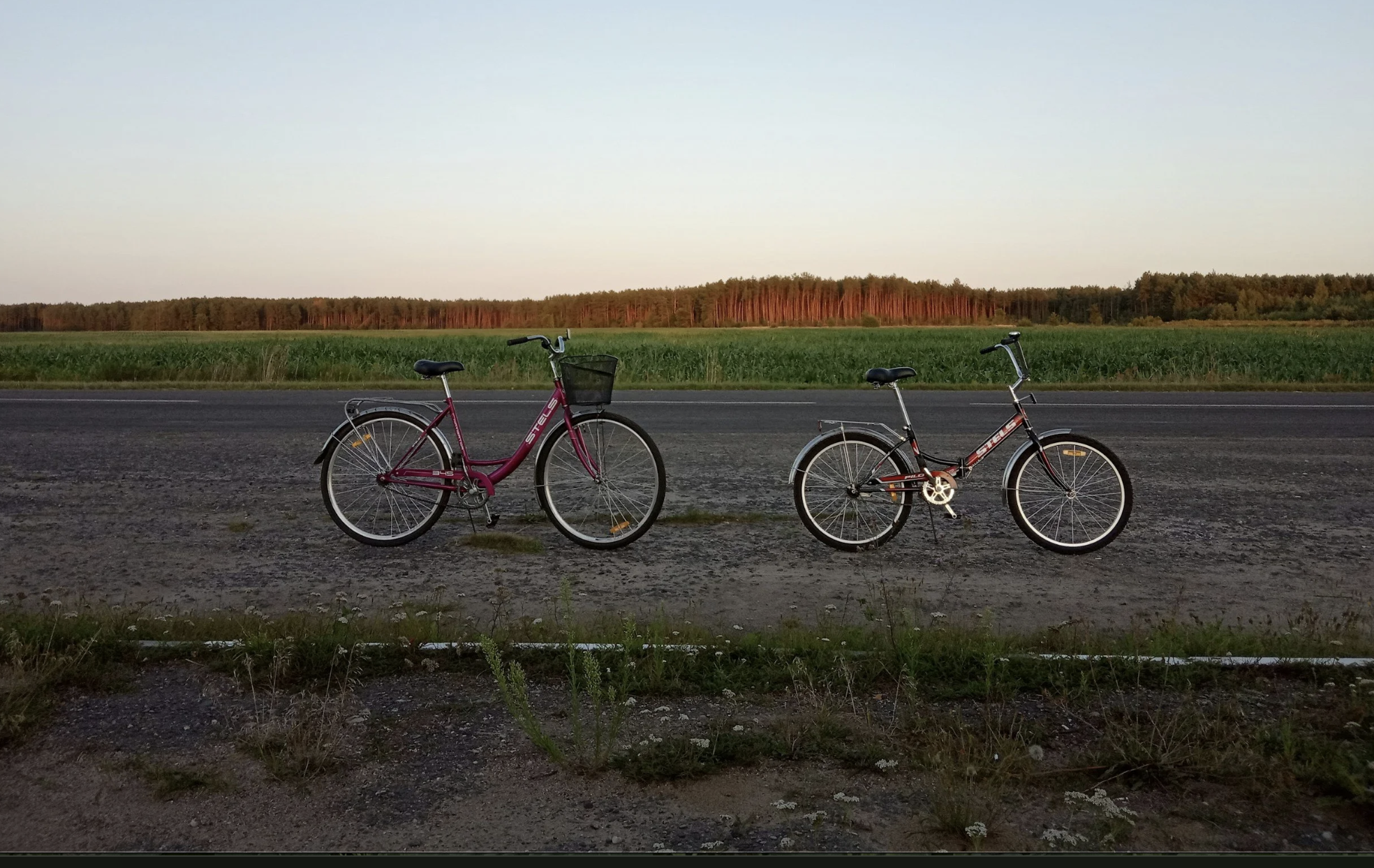 Why Do We Keep Having the Argument? Understanding Negative Cycles in Relationships