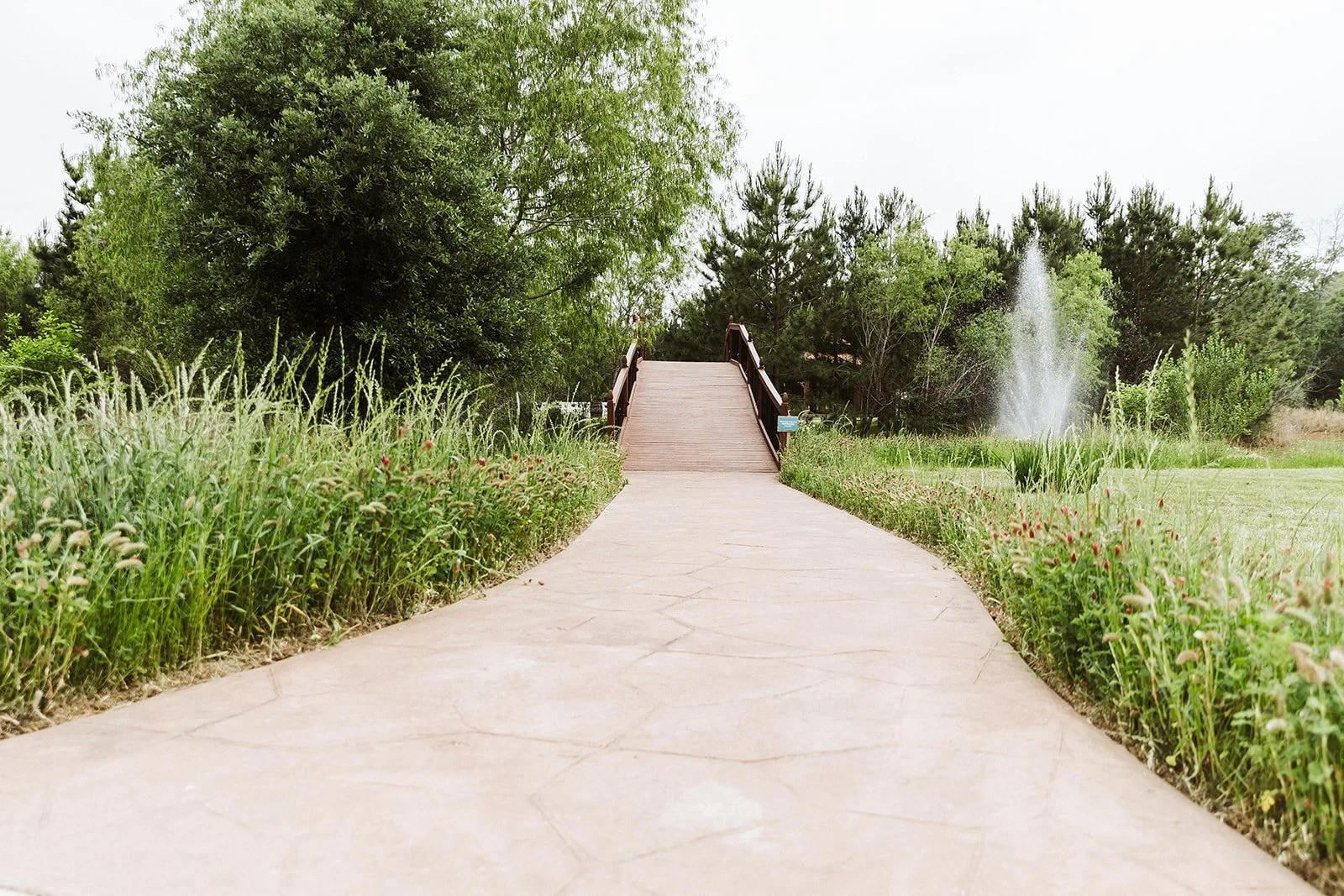 A paved walking path with a small wooden bridge in a park, surrounded by green trees, shrubs, and flowering plants, with a fountain visible in the background.