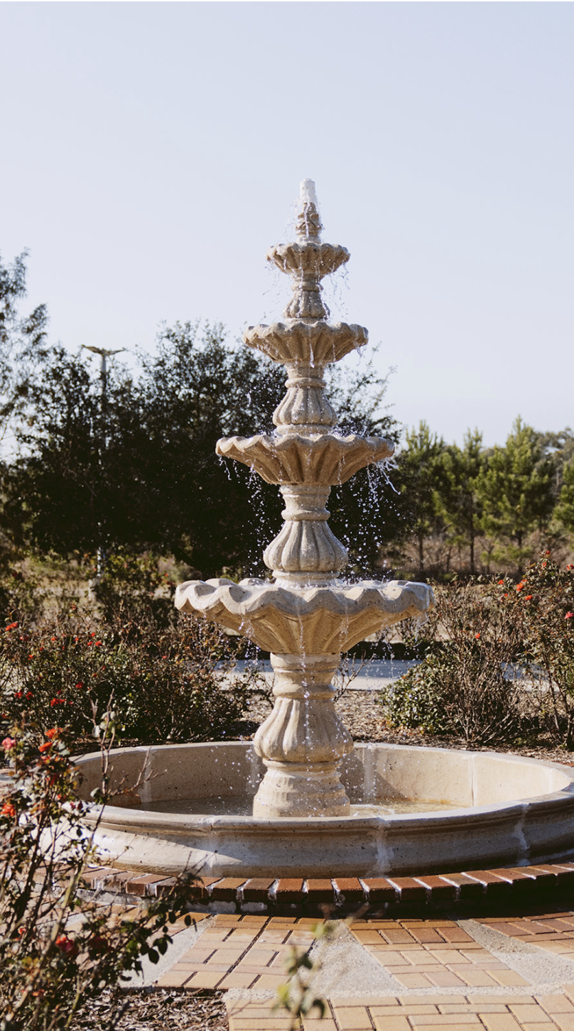 Screenshot 2026-03-05 at 9.01.15 PM.png