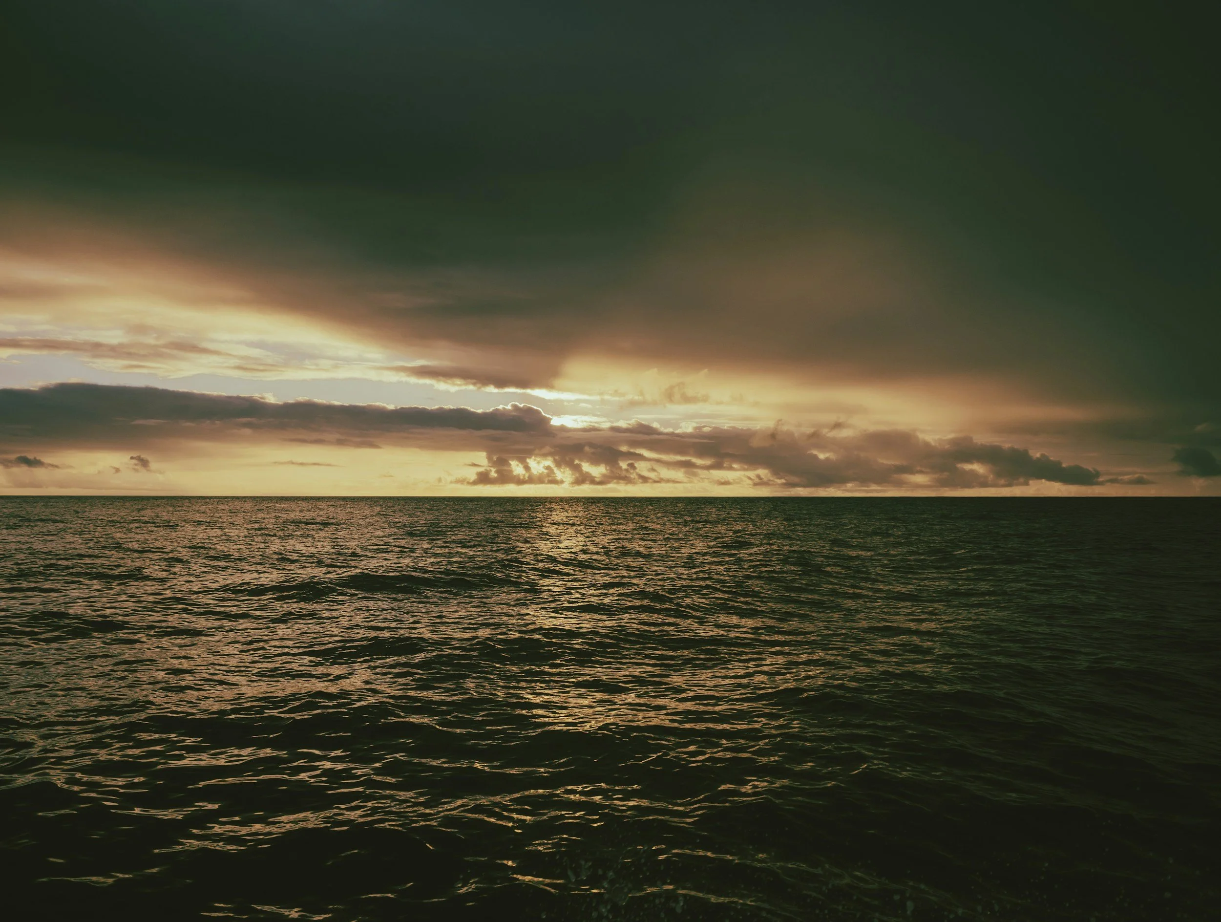 unsplash-image-s3wilYj6EDE.jpg