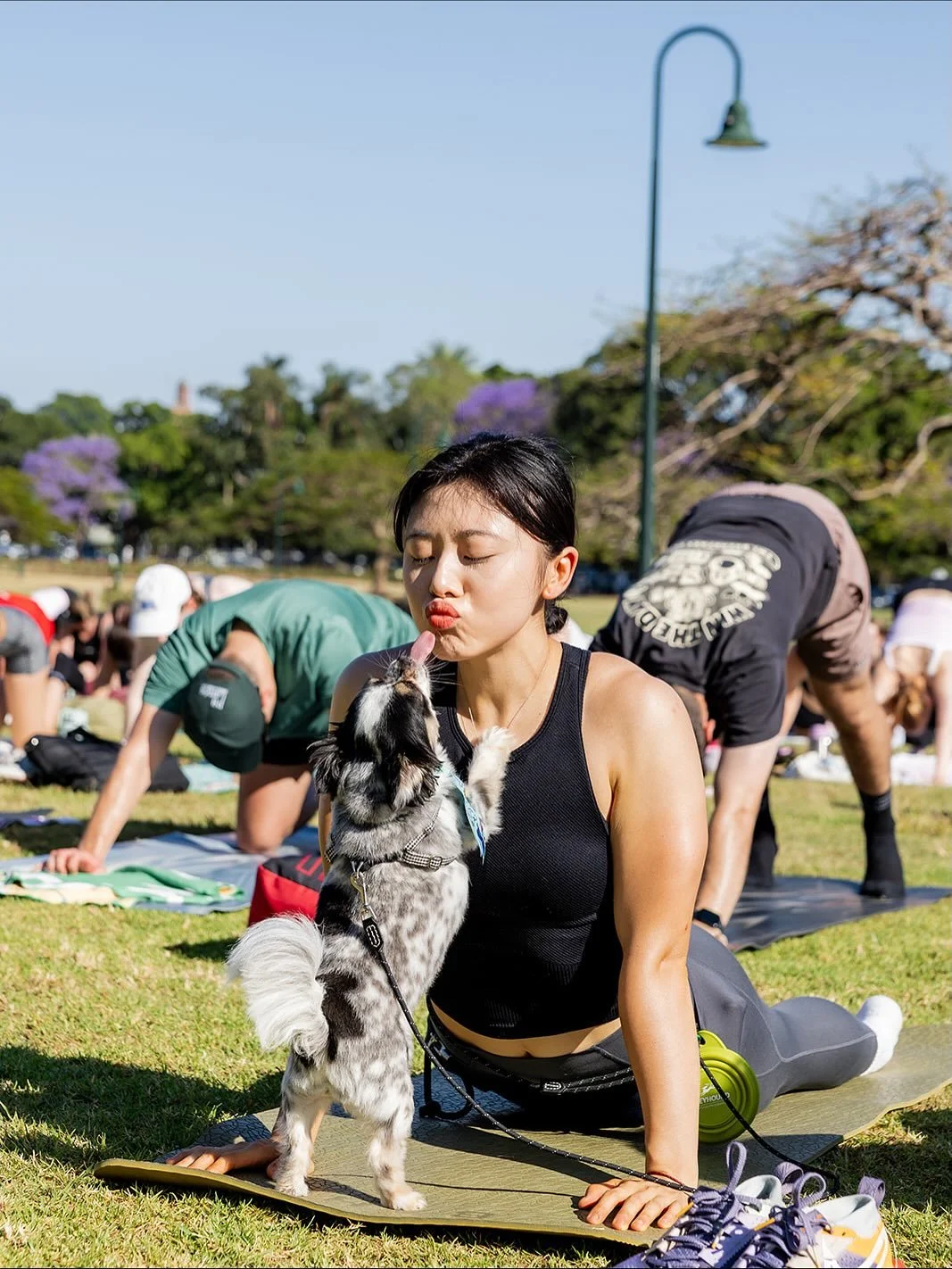 Pups of Pil Latt&eacute;s 😍 

📸 @__anglewisphotography 

#pilates #pilatesinthepark #brisbane #dogdate #dog #puppy #socialclub #communityclub #fitnessclub #community #matpilates #newfarm #brisbanefitness #gym #visitbrisbane #freeevent #freeactivity