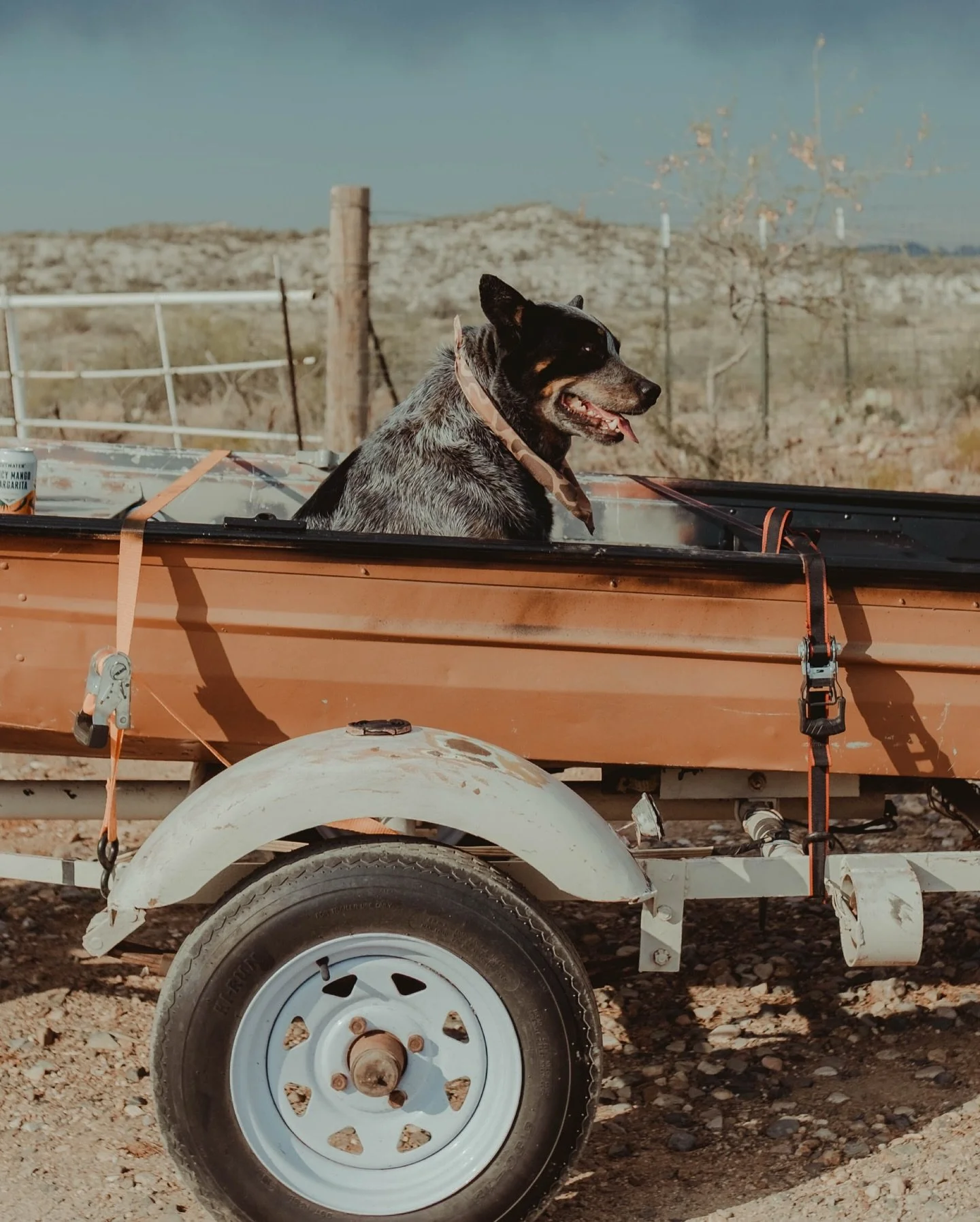 Winston is ready to roll! I’ve got some fun plans for this little vintage 1971  Del Craft Jon boat. From the bayous of Louisiana to the dirty verde I’m going to convert this thing into the most epic little fishing and duck hunting “