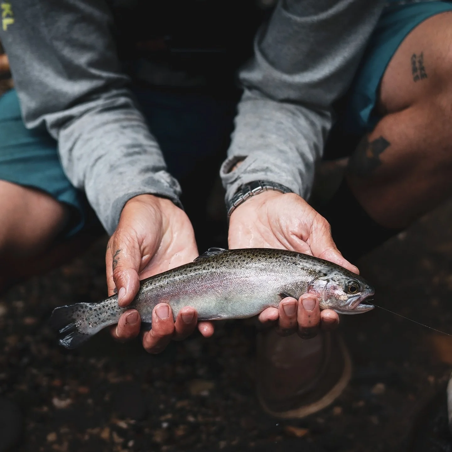 Oak Creek Rainbows 👌🏼