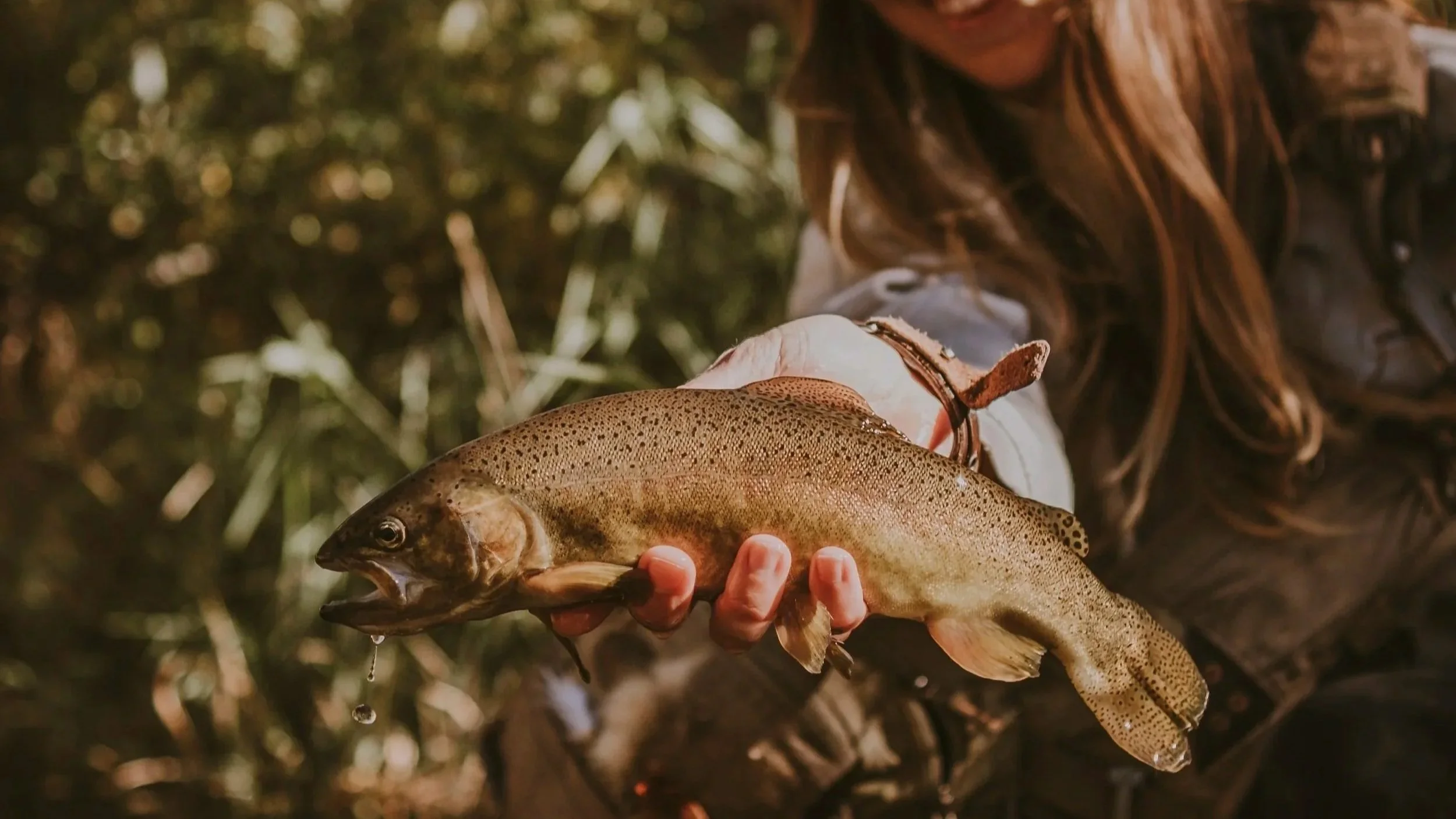 Fishing Oak Creek Sedona AZ: Best Spots, Tips &amp; Guided Tours for Trout and Bass