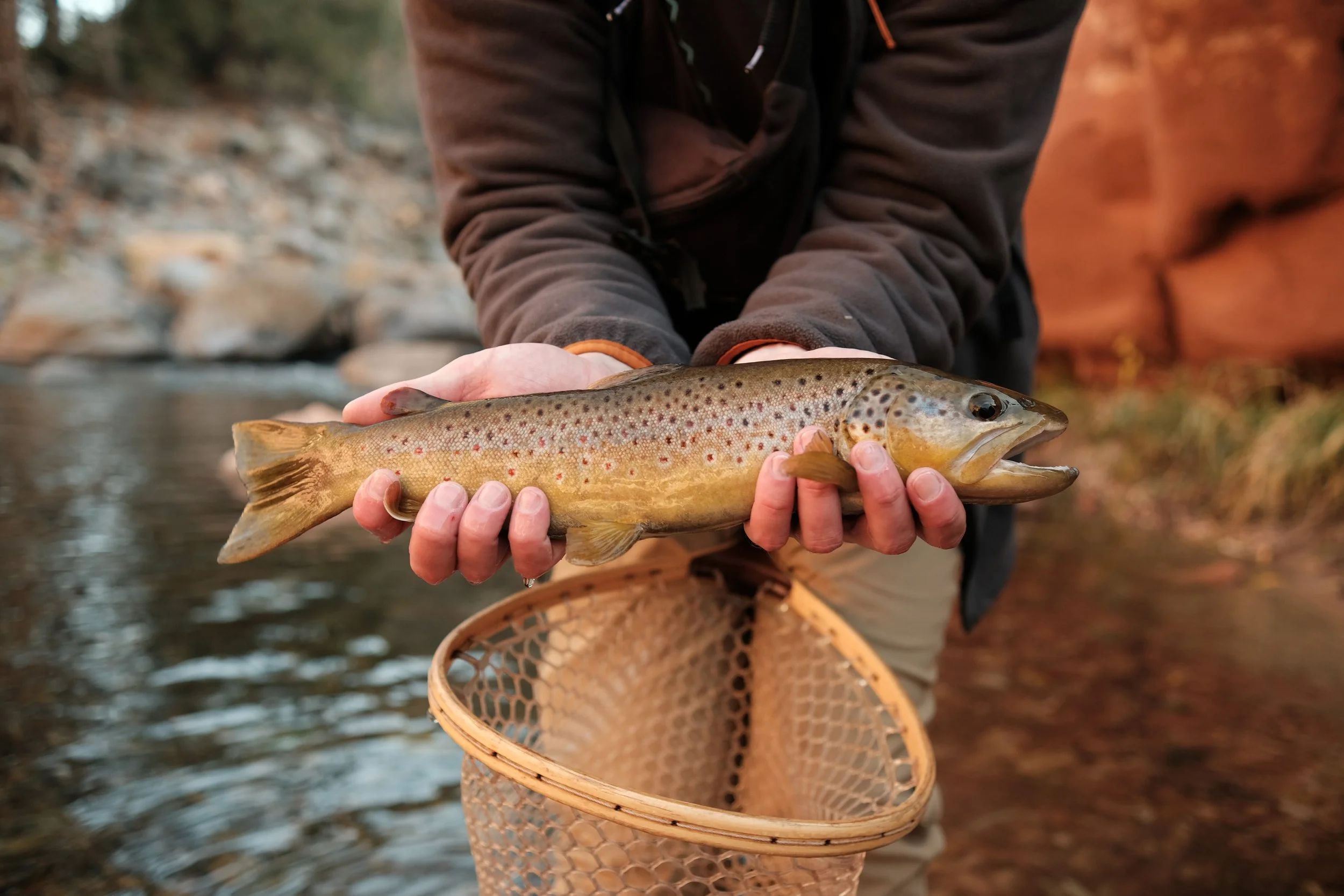 Fishing Oak Creek Sedona AZ: Best Spots, Tips &amp; Guided Tours for Trout and Bass