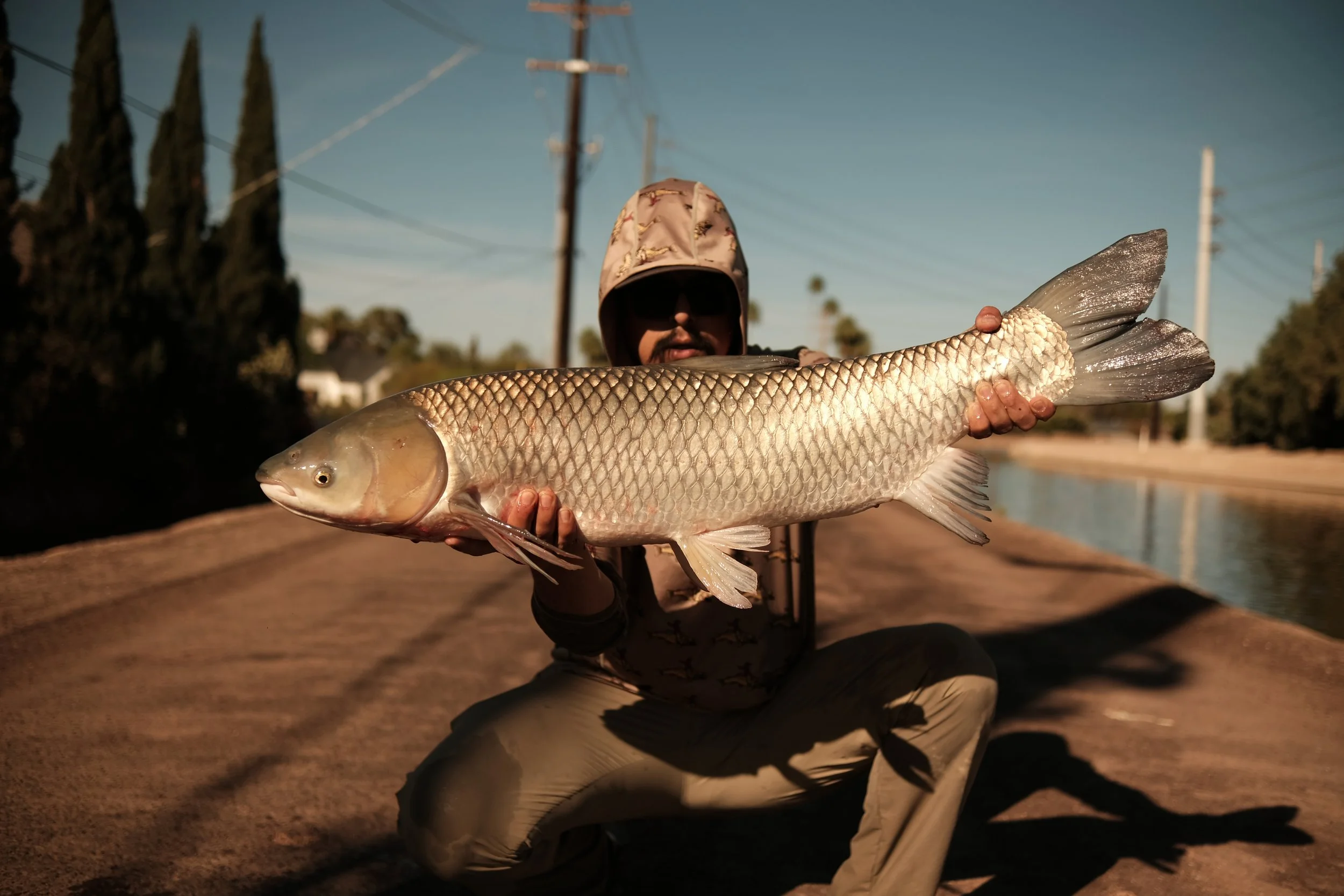 fishing for urban monsters- desert bonefish (carp) on the fly