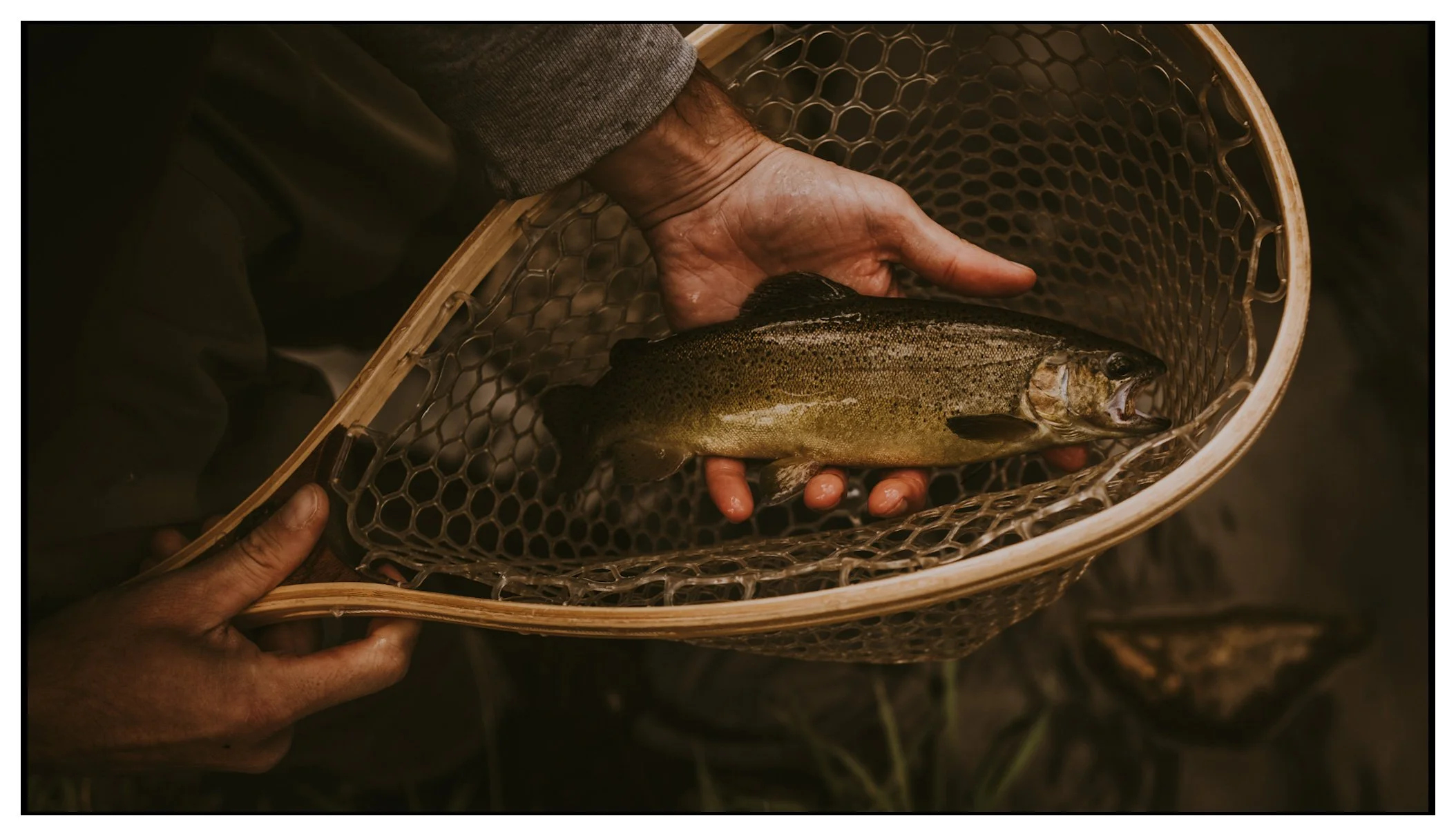 Person holding a freshly caught fish in a fishing net.