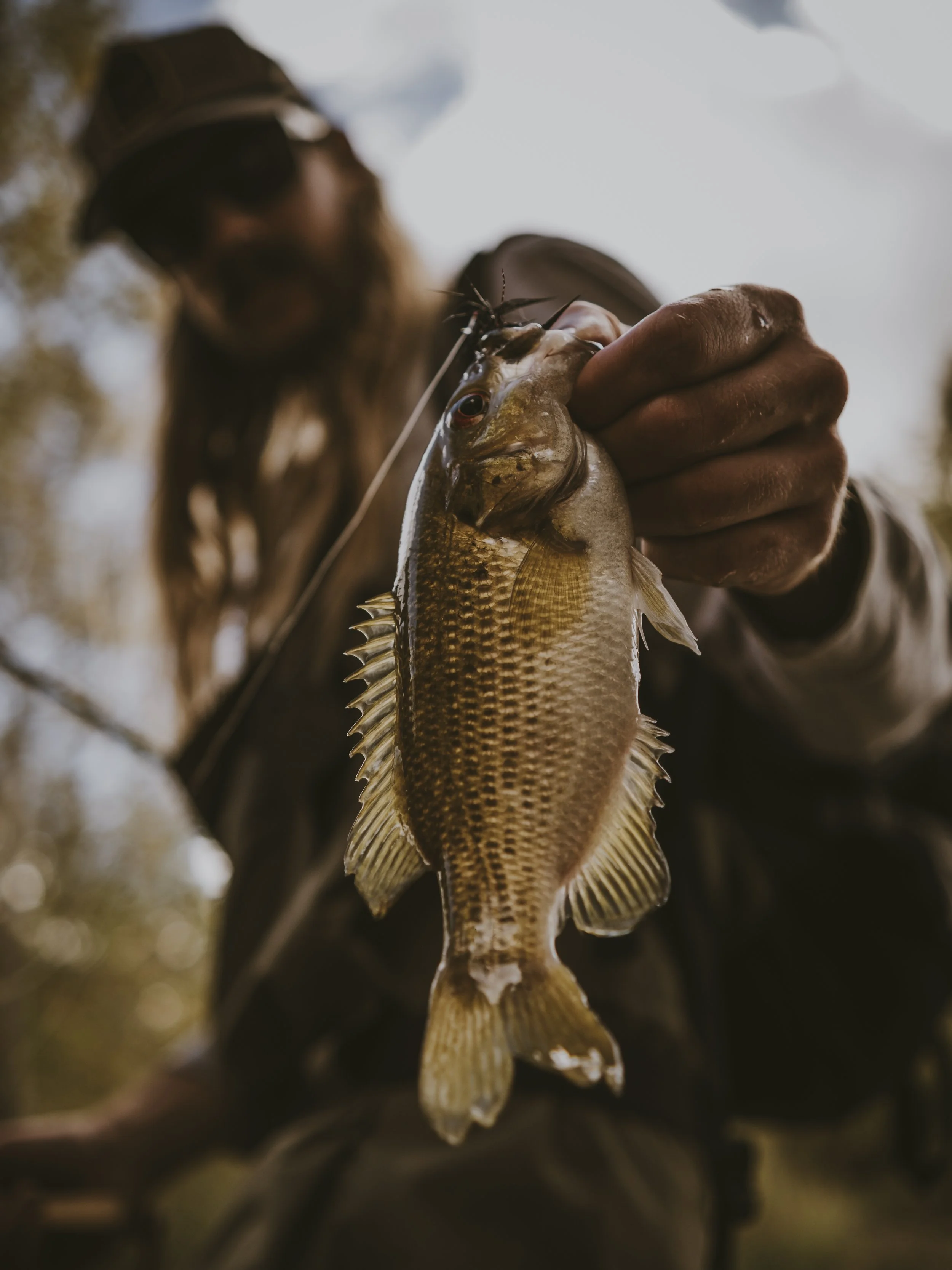 Person holding a fish caught on a fishing line outdoors with a blurred background.