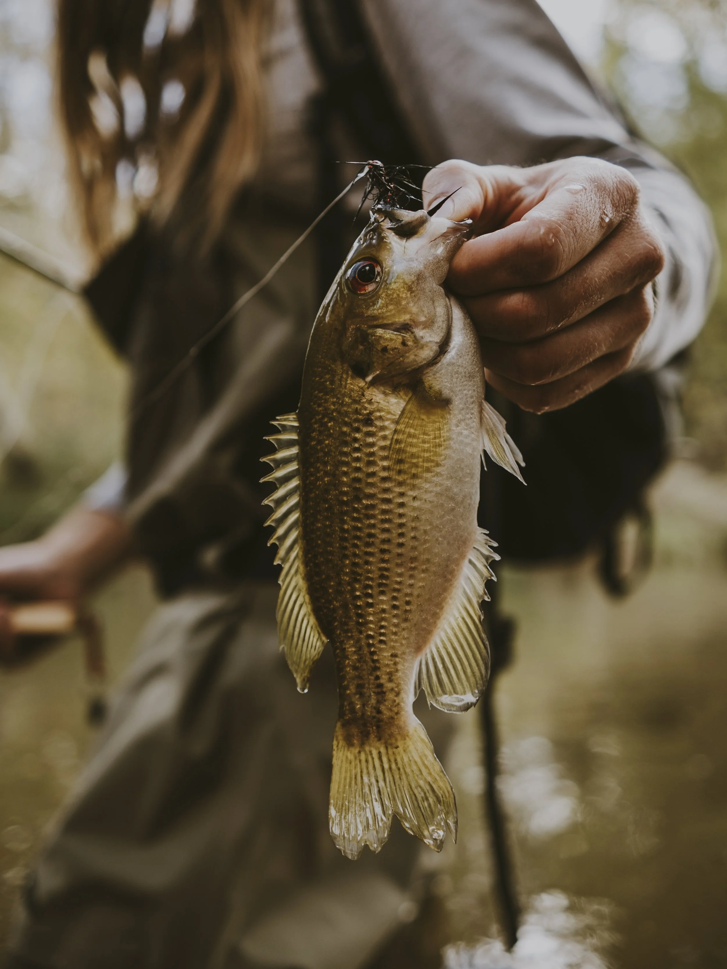 Person holding a freshly caught fish with a fishing lure in its mouth.