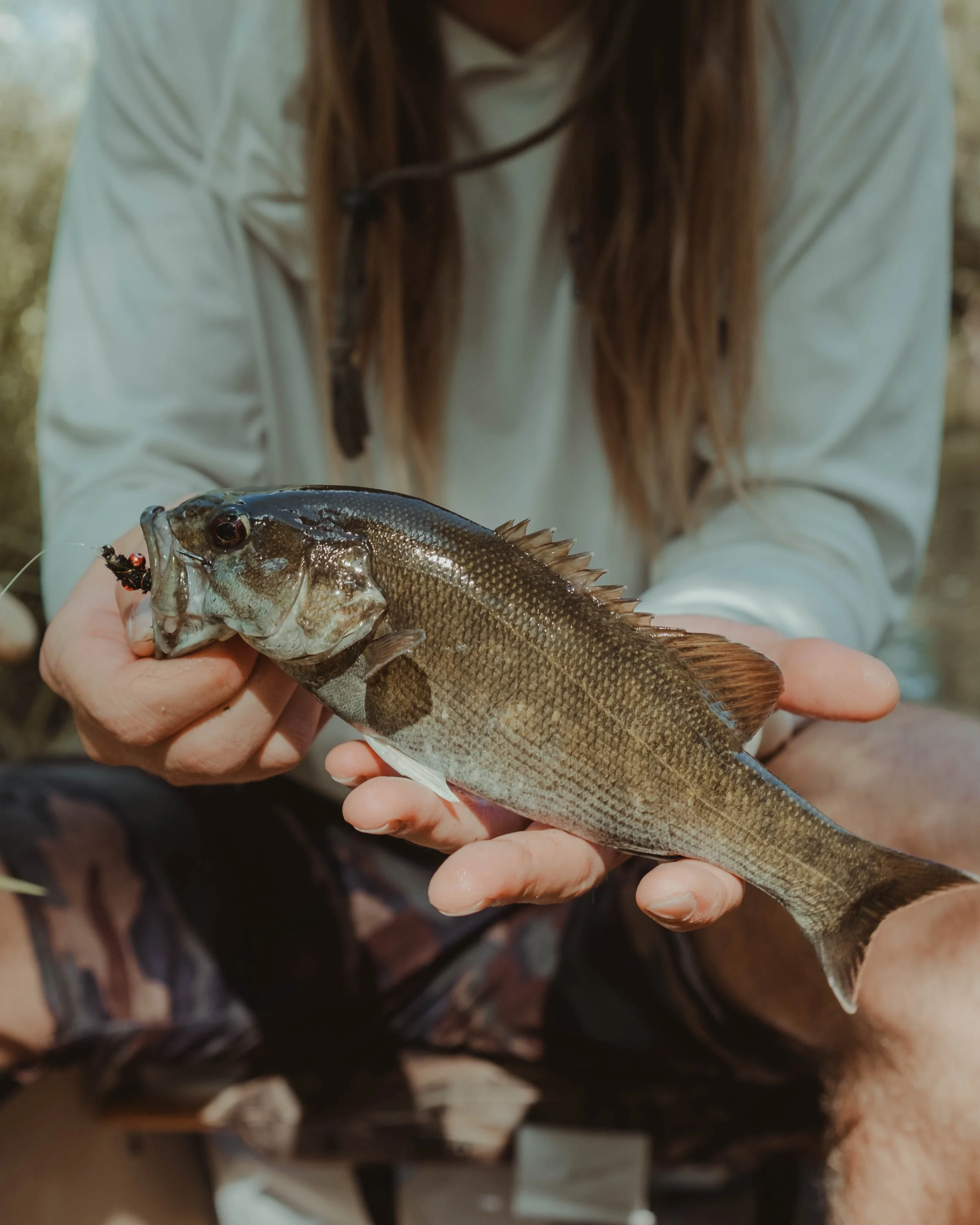 Person holding a freshly caught fish with a lure in its mouth