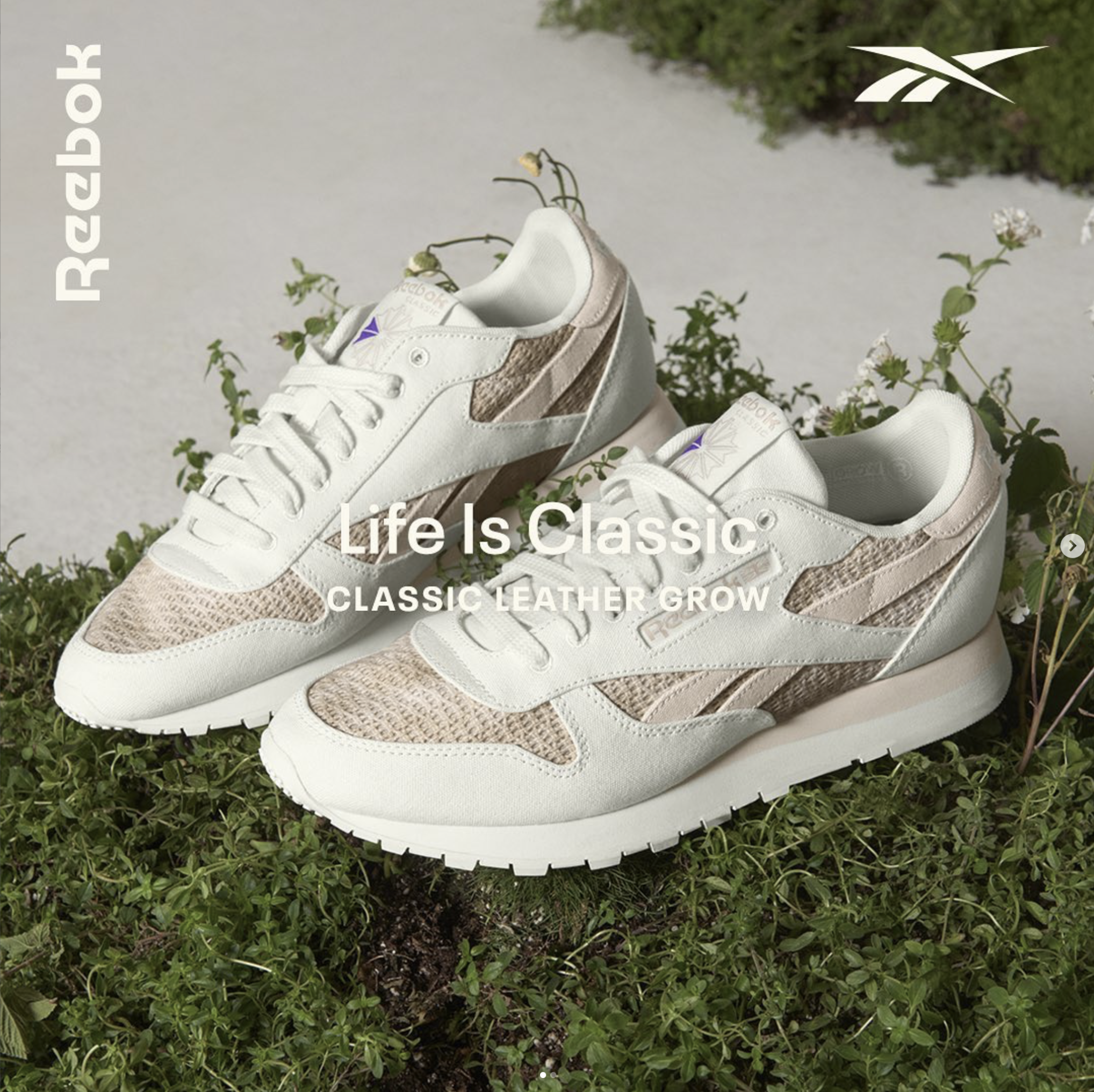 Screenshot 2025-12-18 at 7.35.53 PM.png