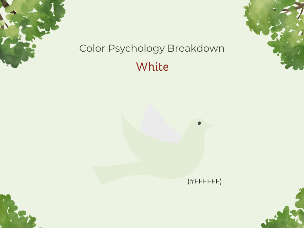 Color Psychology Breakdown: White