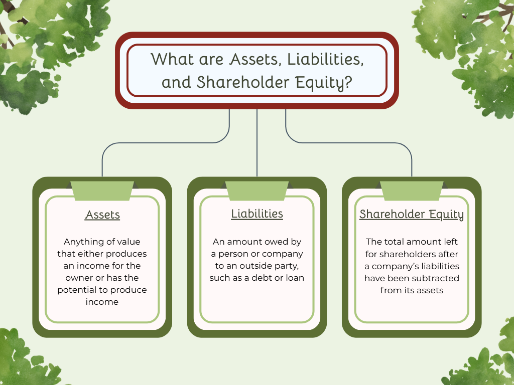 Infographic titled What are Assets, Liabilities, and Shareholder Equity