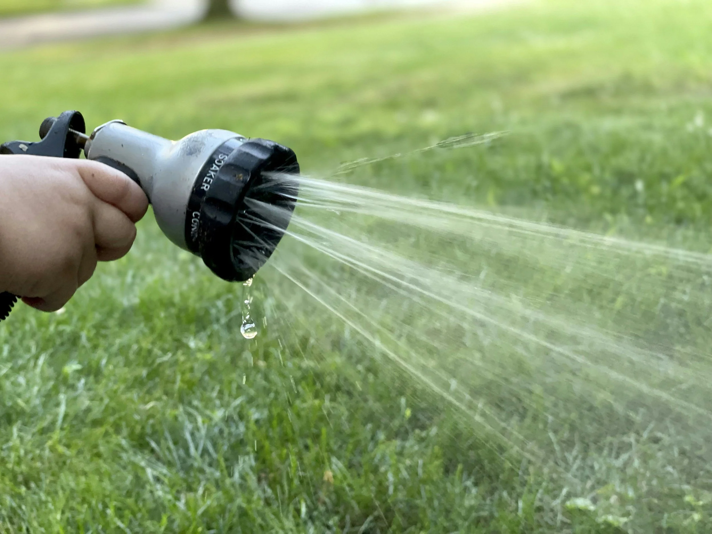 Person holding a garden hose spraying water onto grass in a yard.