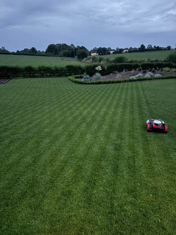 FB_IMG_1754317856590 (1).jpg