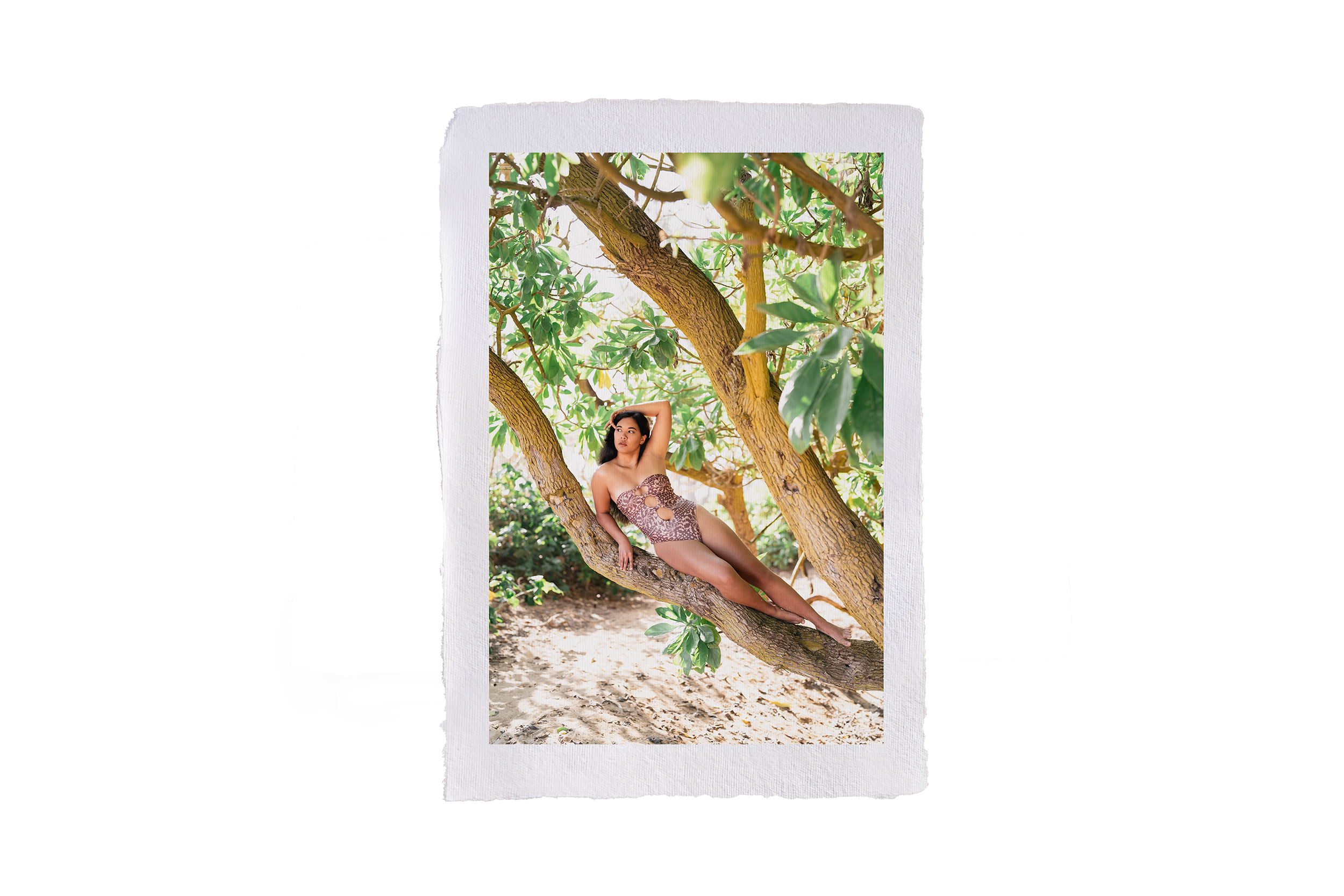 A woman lying on a tree branch during an outdoor boudoir photography session, surrounded by green leaves and sandy ground.