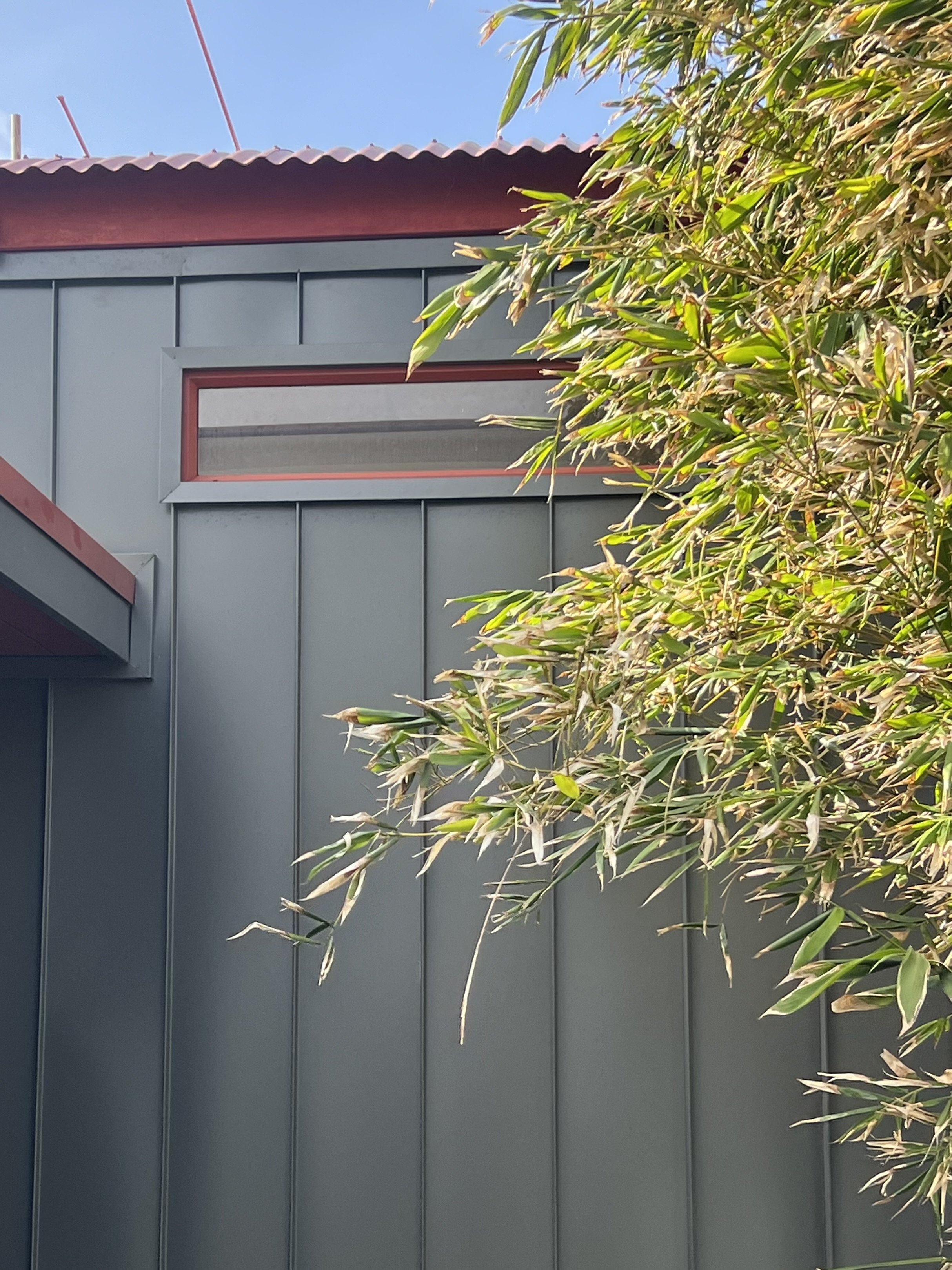 Close-up of a building with blue siding, a narrow rectangular window with red trim, and green foliage in the foreground under a clear blue sky.