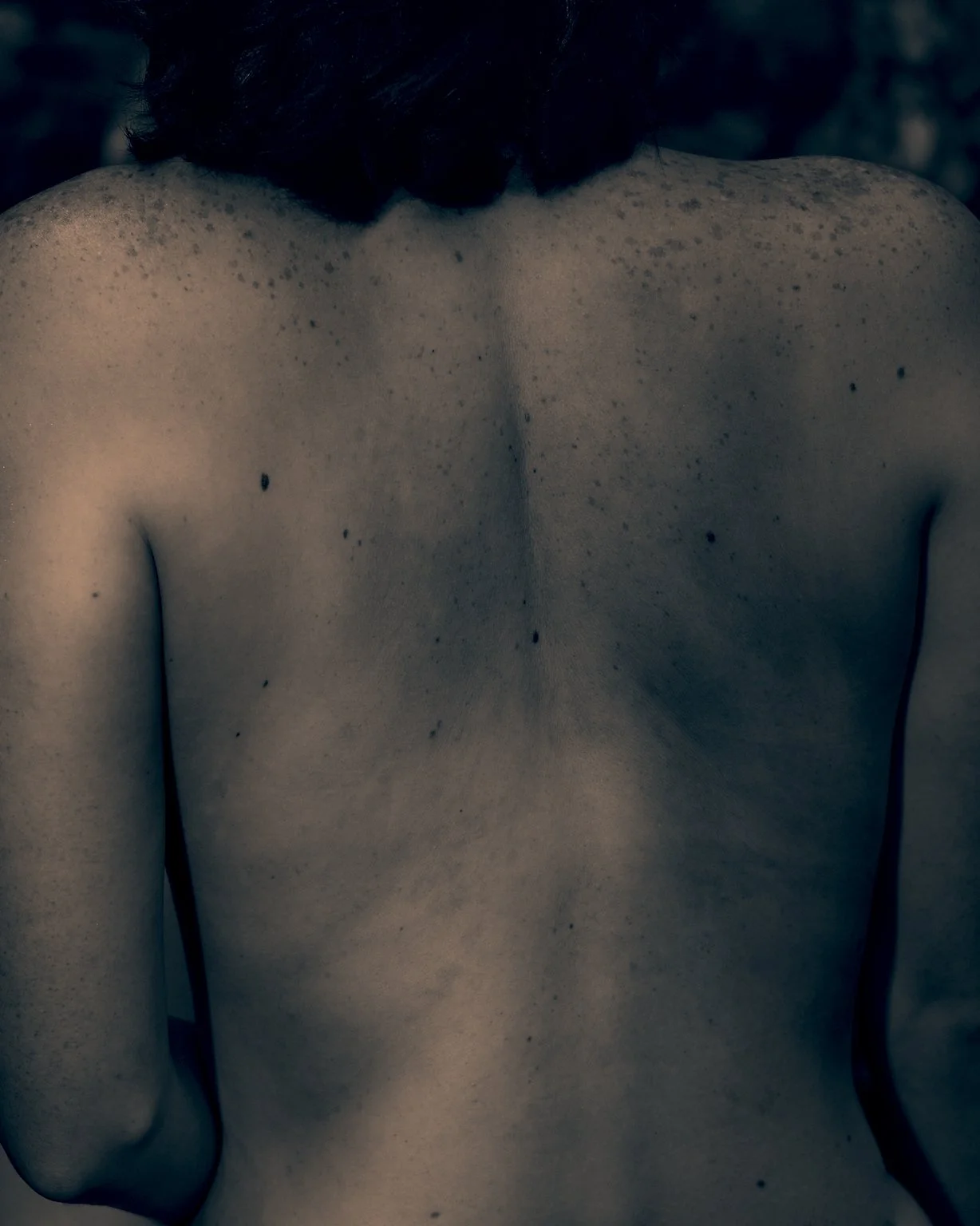 117A3657_01.jpg