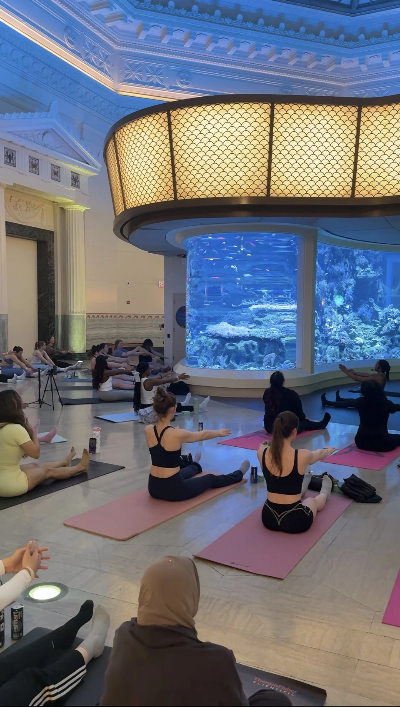 Wonder & Wellness: Pilates at Shedd x Coterie Haus