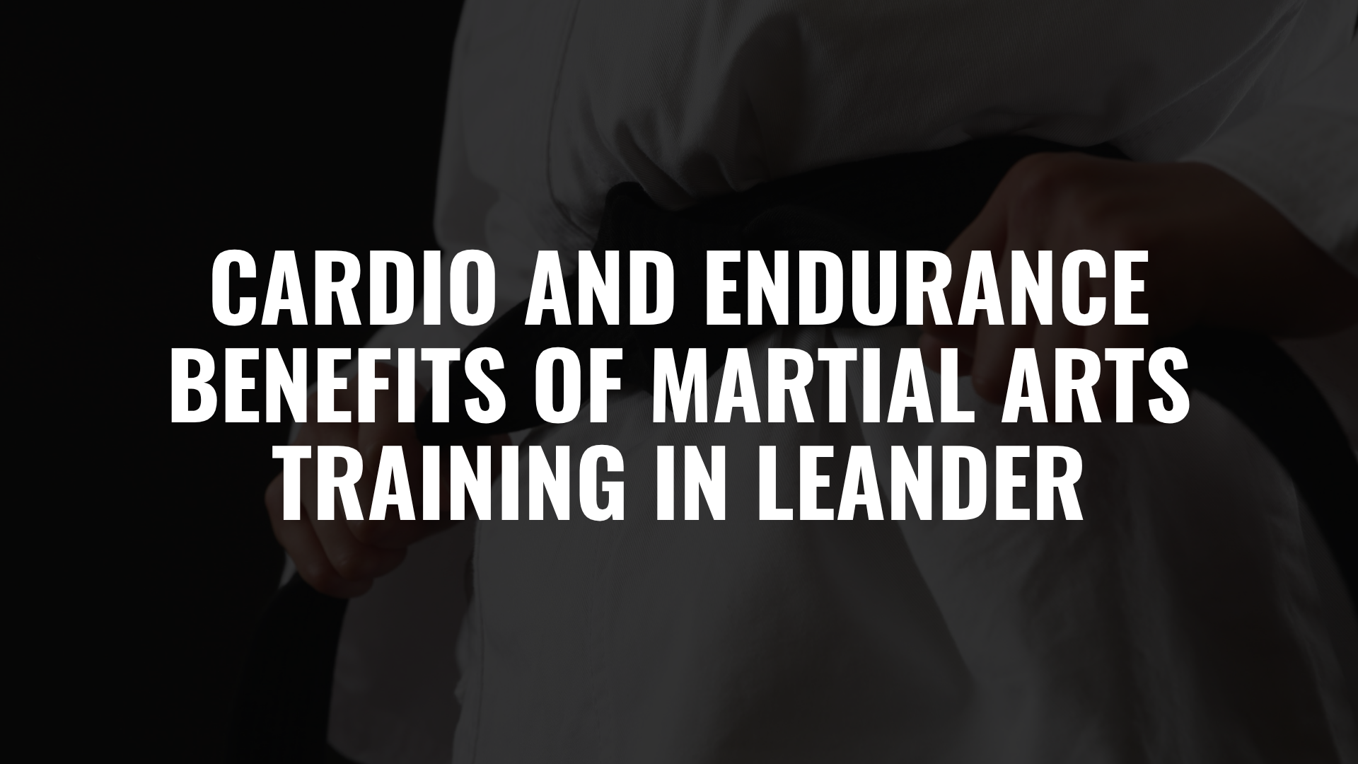 Cardio and Endurance Benefits of Martial Arts Training in Leander