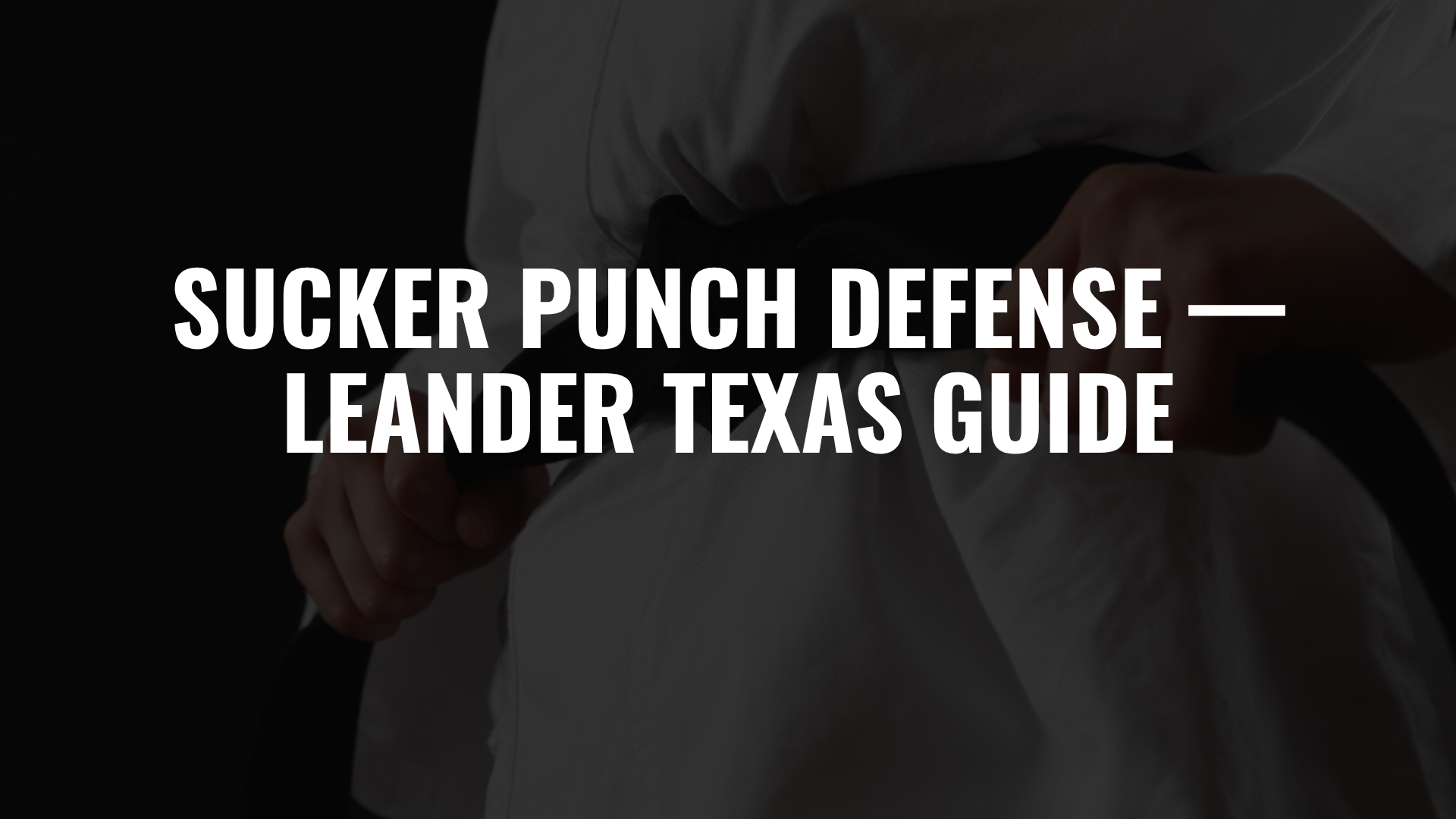 Sucker Punch Defense — Leander Texas Guide